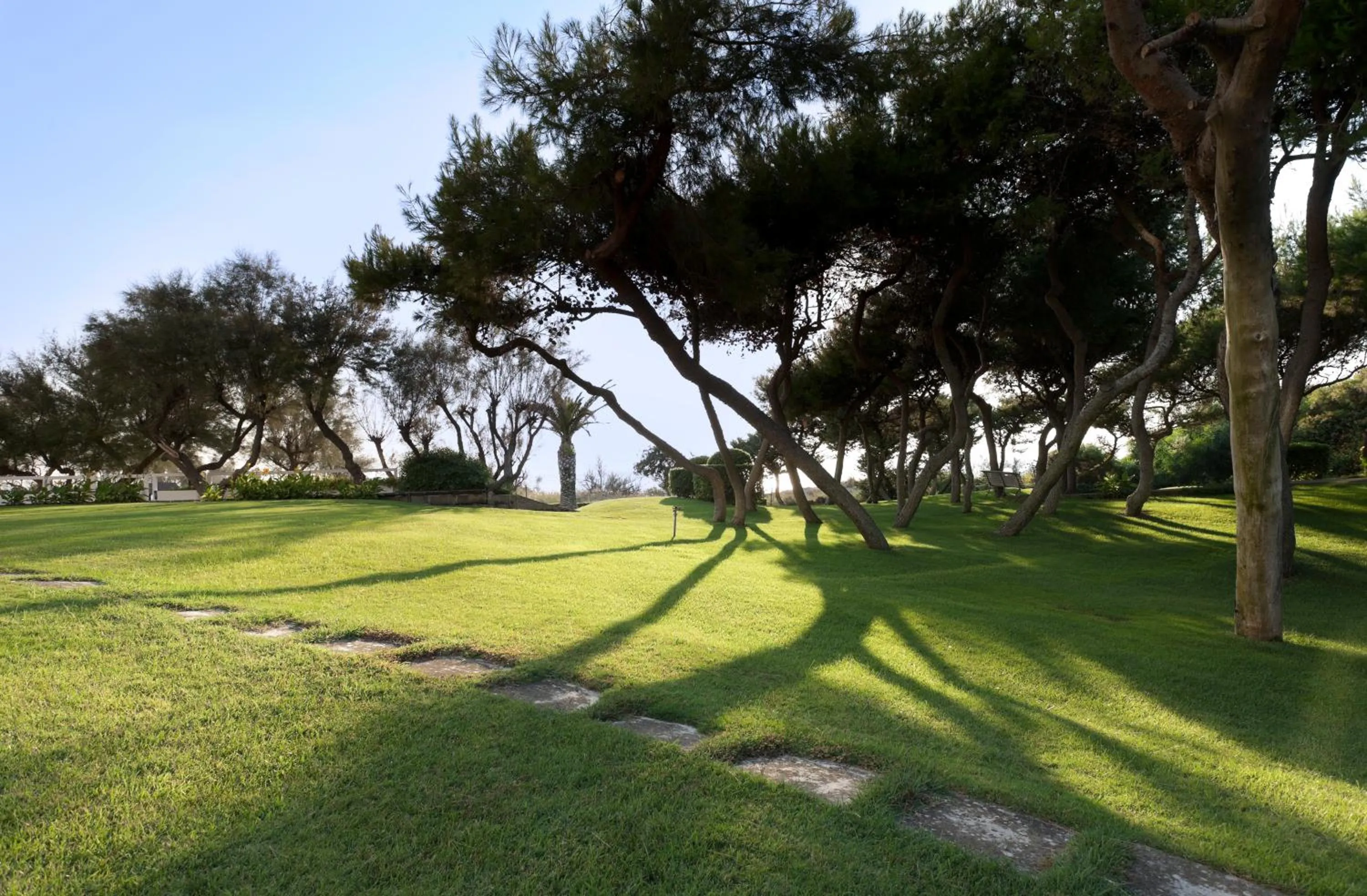 Garden in Grand Hotel Costa Brada
