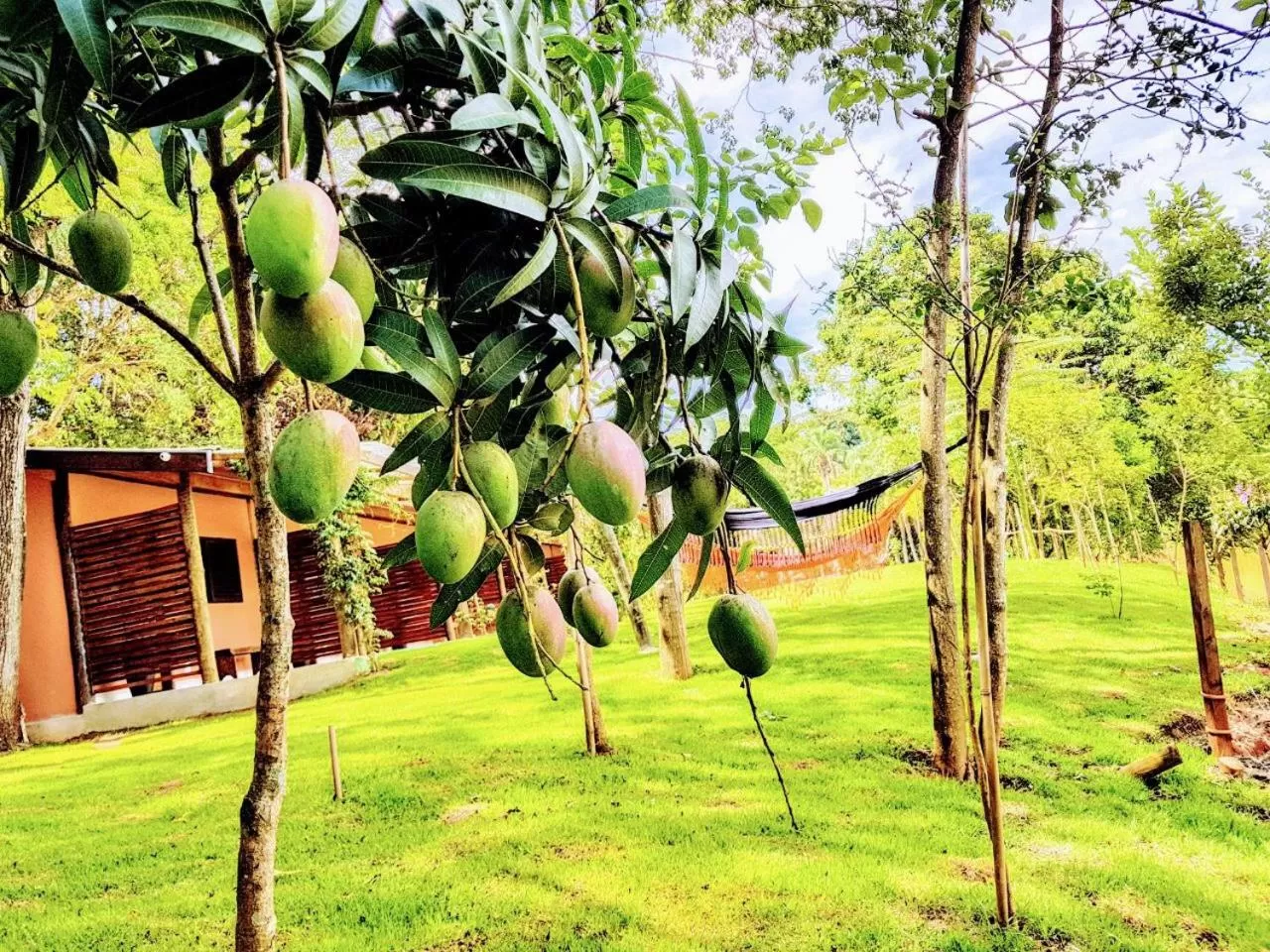 Garden in Pousada Santa Thereza