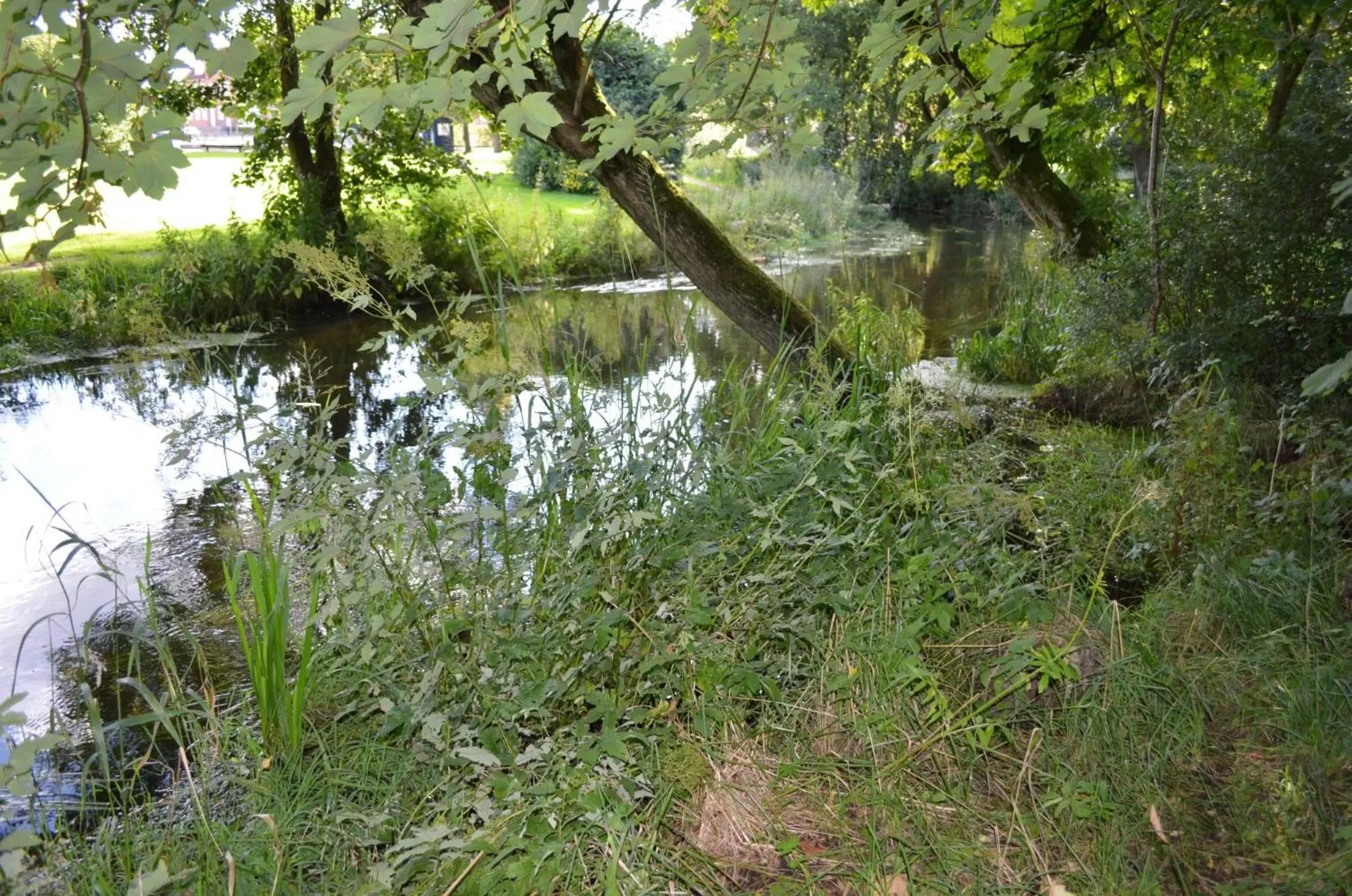 Hiking in Boutique Hotel Postgården