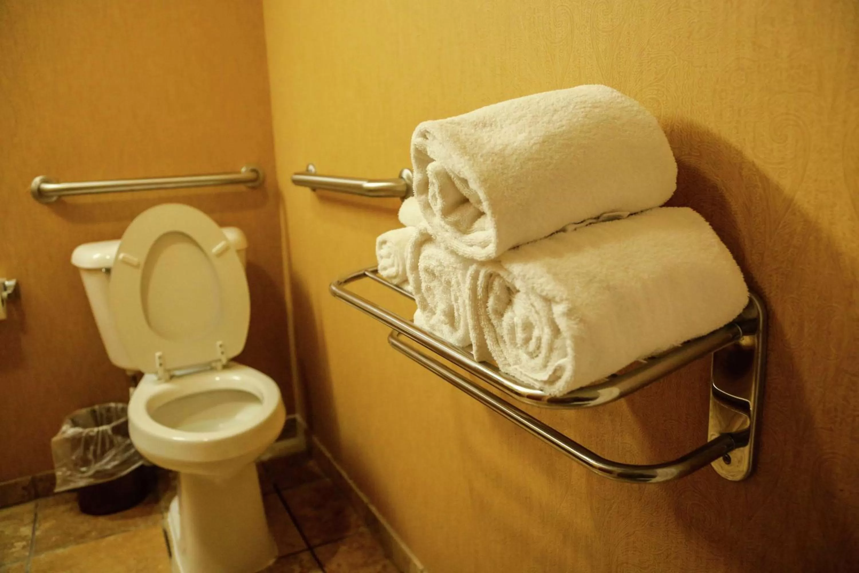 Bathroom in Hampton Inn & Suites McComb