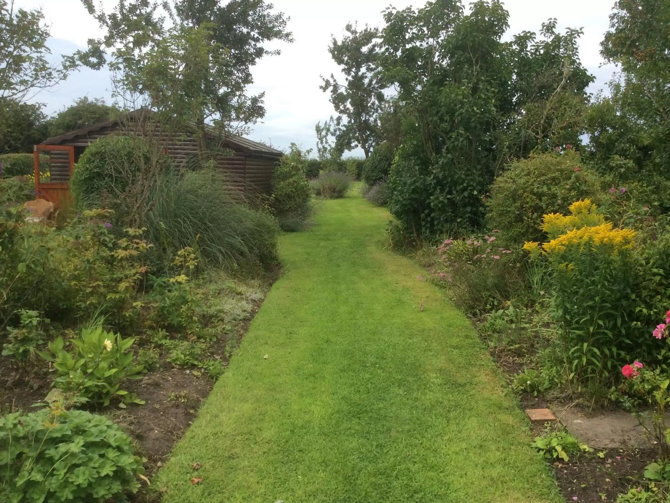 View (from property/room) in Laurel Lodge
