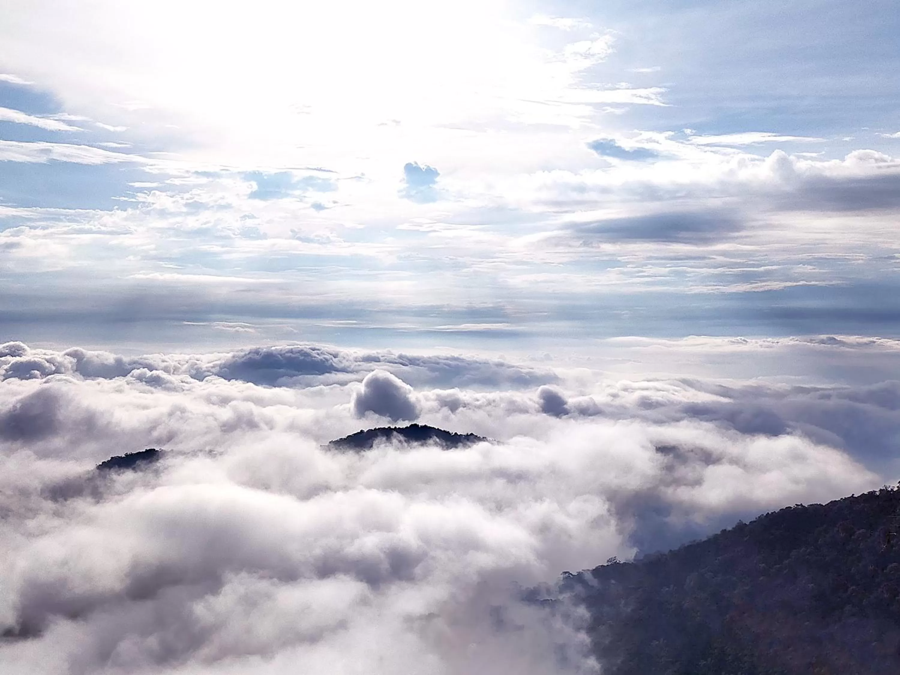 Natural landscape in Sky Retreat Genting Highlands