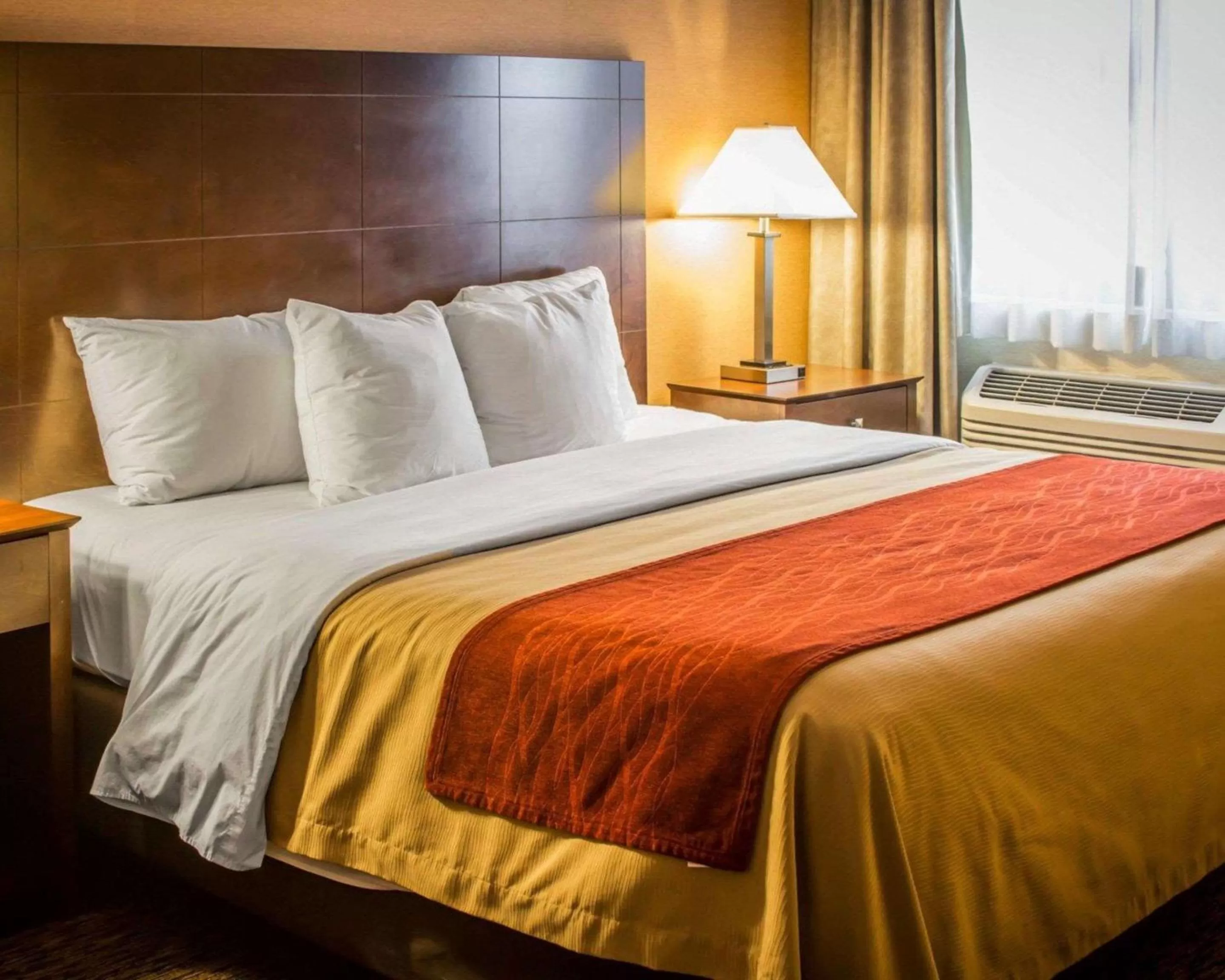 Photo of the whole room, Bed in Quality Inn & Suites Port Huron