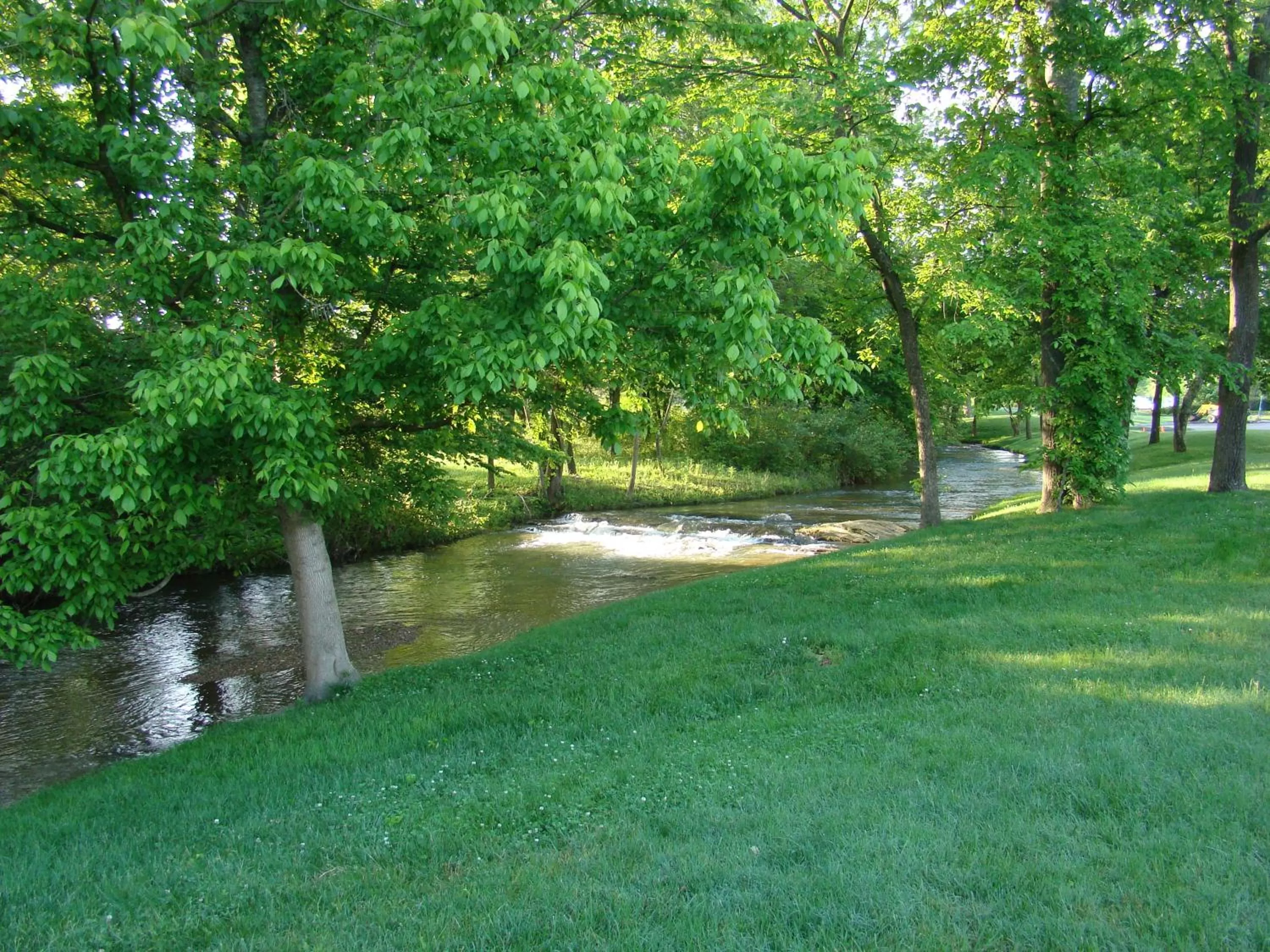 Natural landscape in LeConte Hotel & Convention Center, an Ascend Collection Hotel