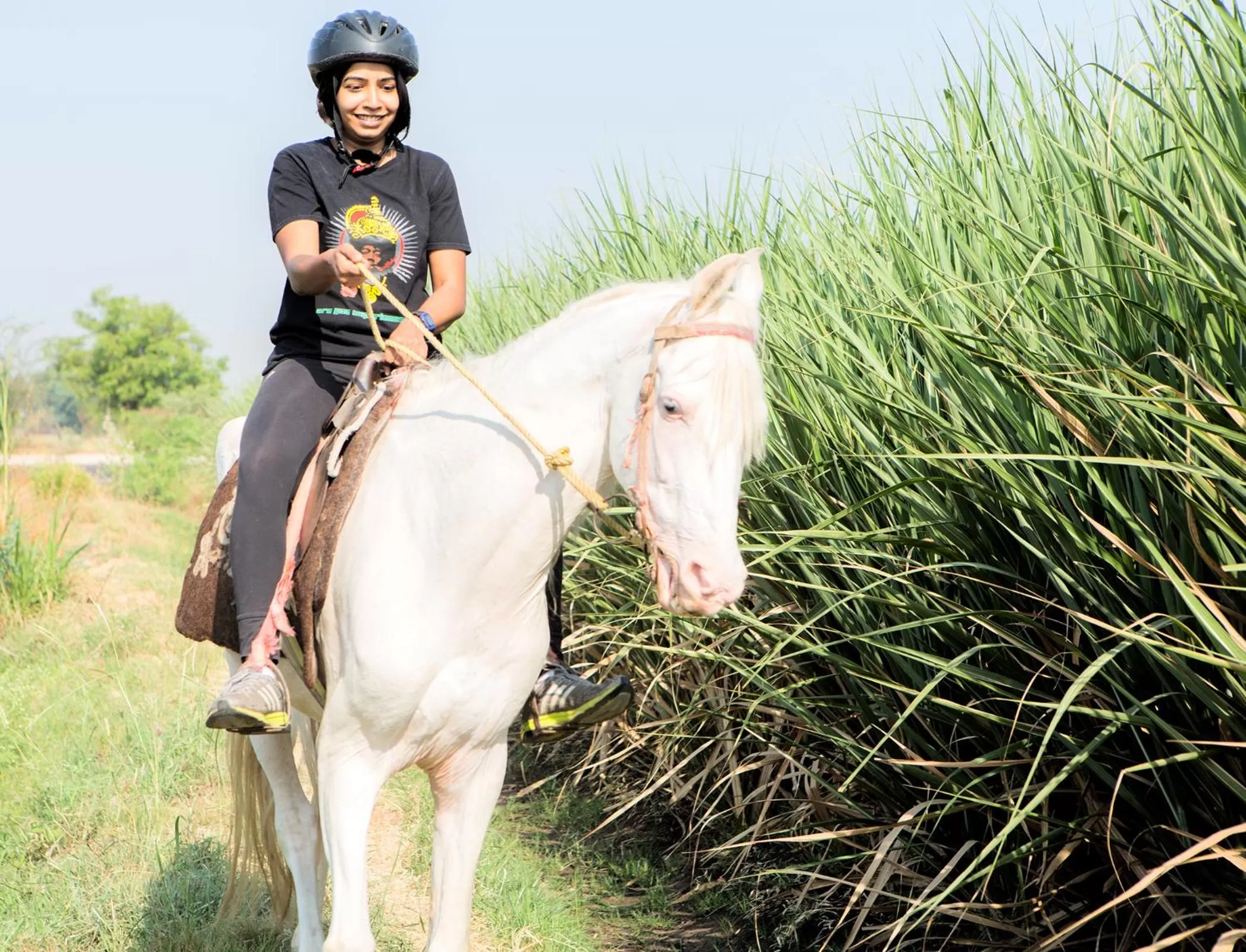 Activities, Horseback Riding in Jakson Inns