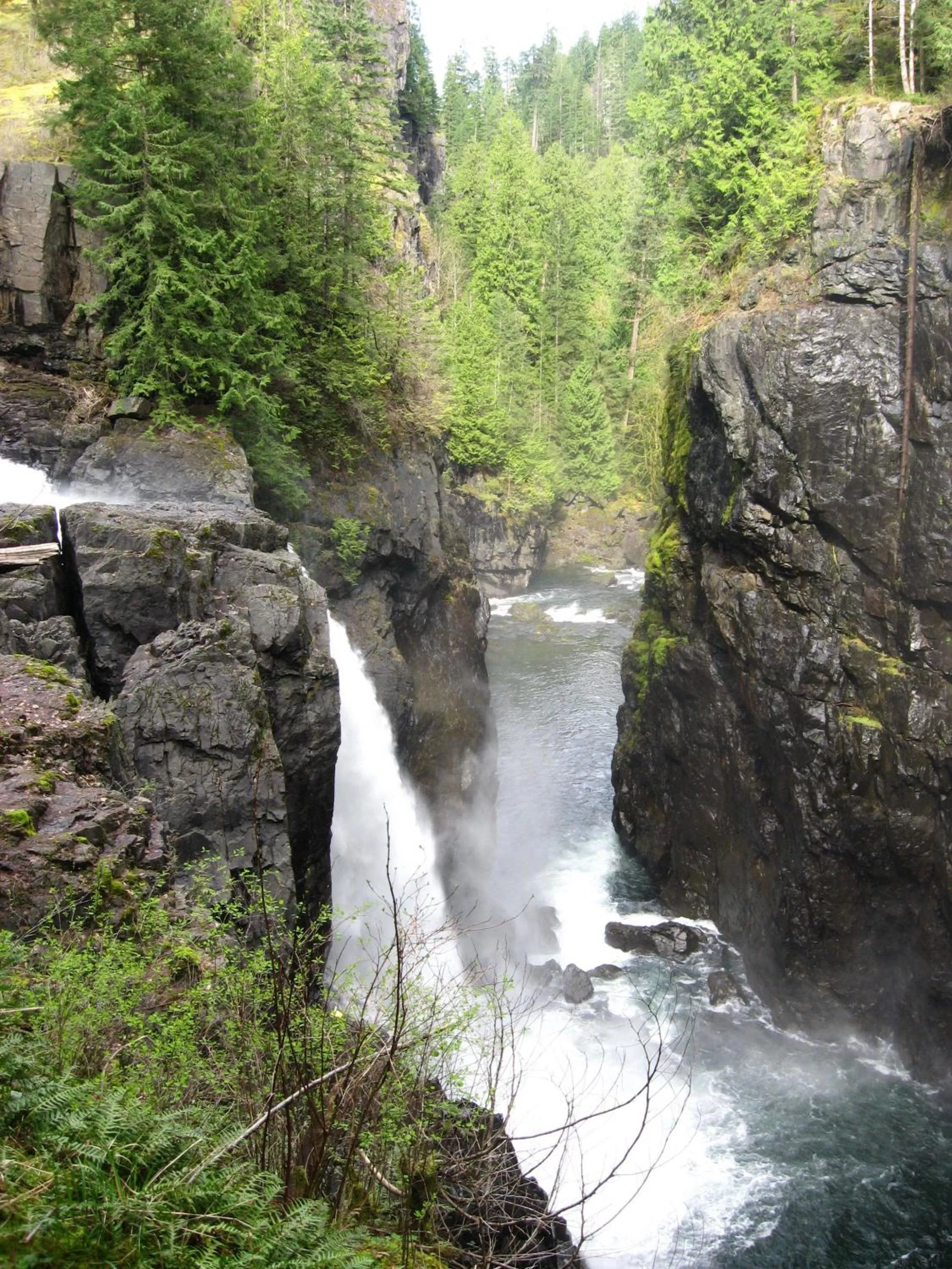 Activities in Money Pennies Bed and Breakfast