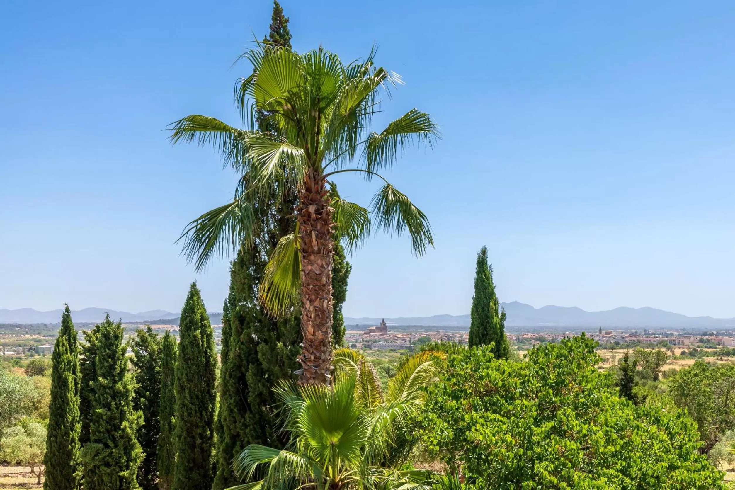 Natural landscape in Finca Son Jorbo - Adults only