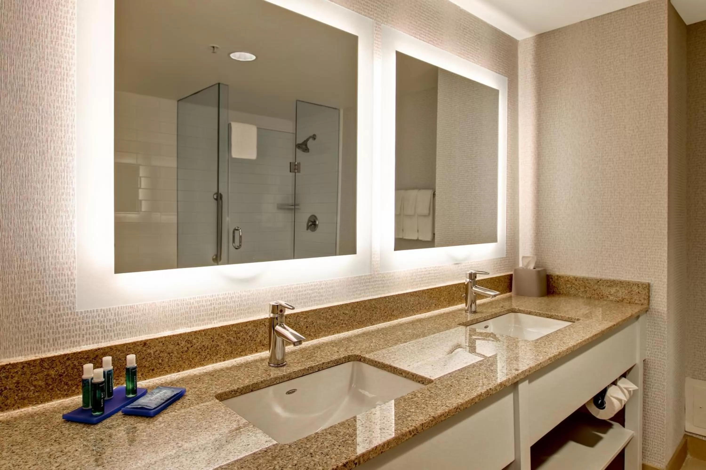 Bathroom in Holiday Inn Express Hotel & Suites Toronto - Markham by IHG