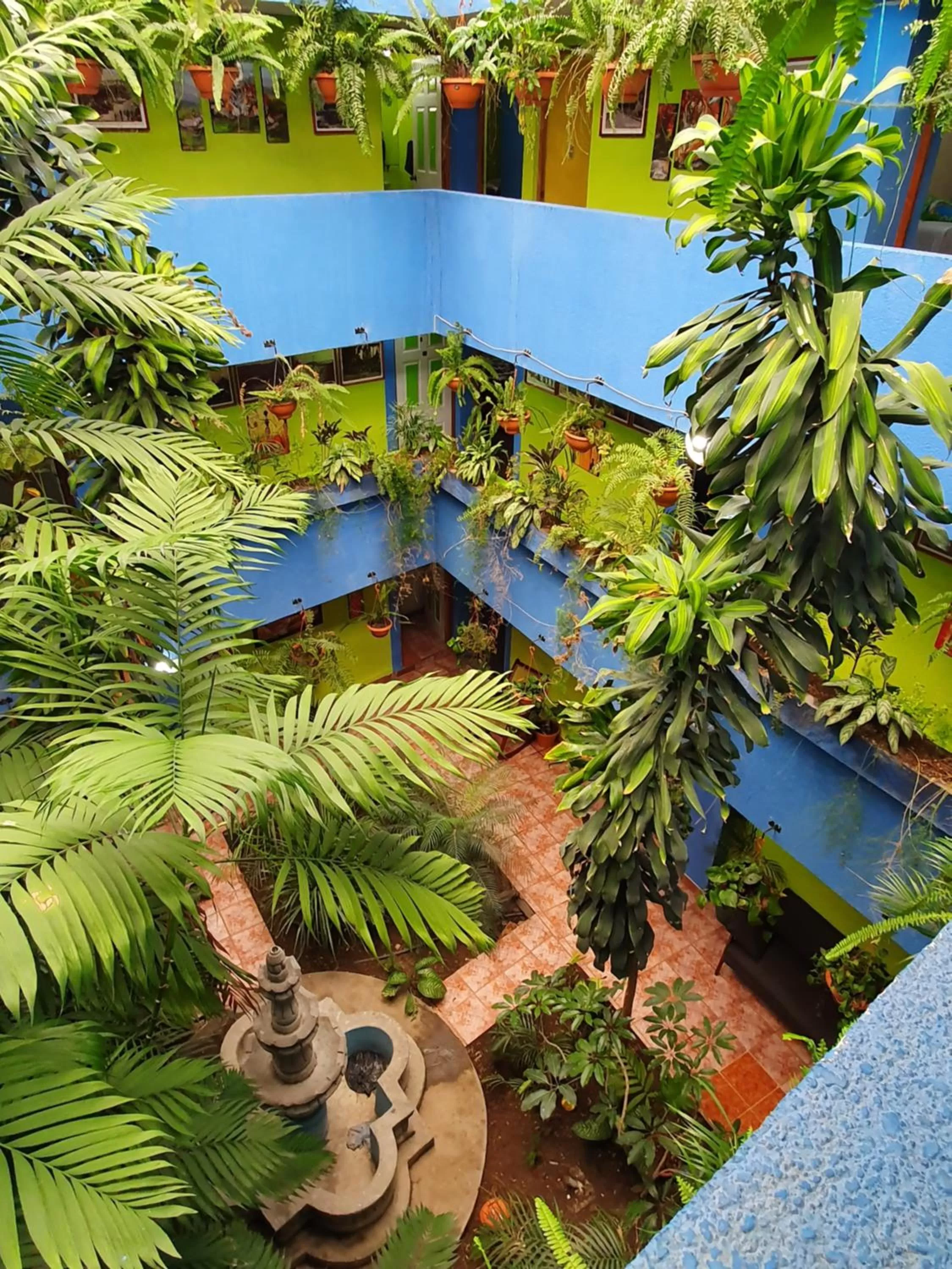 Pool View in hotel kasa kamelot 2