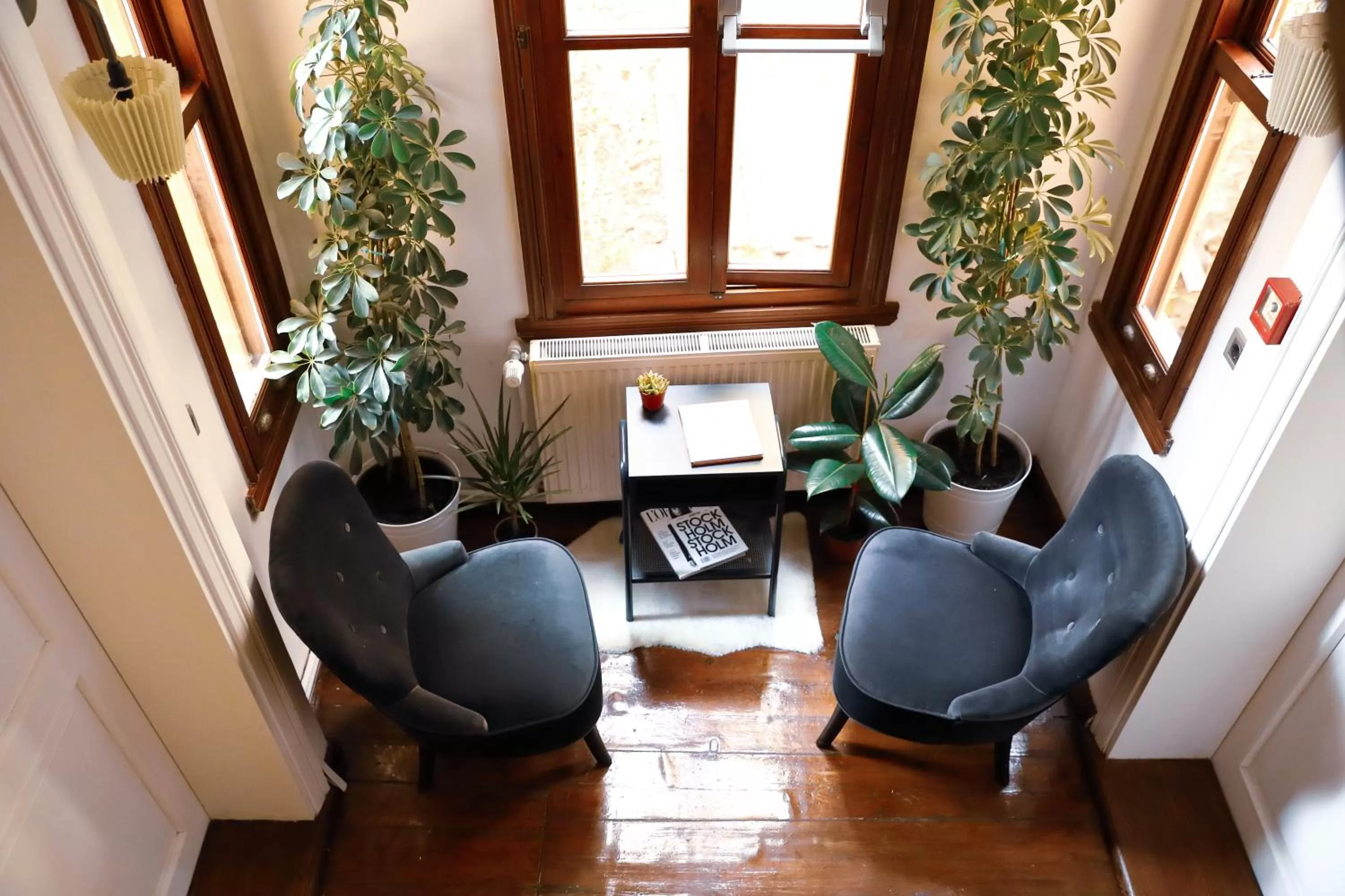 Living room, Seating Area in House MOLA Galata