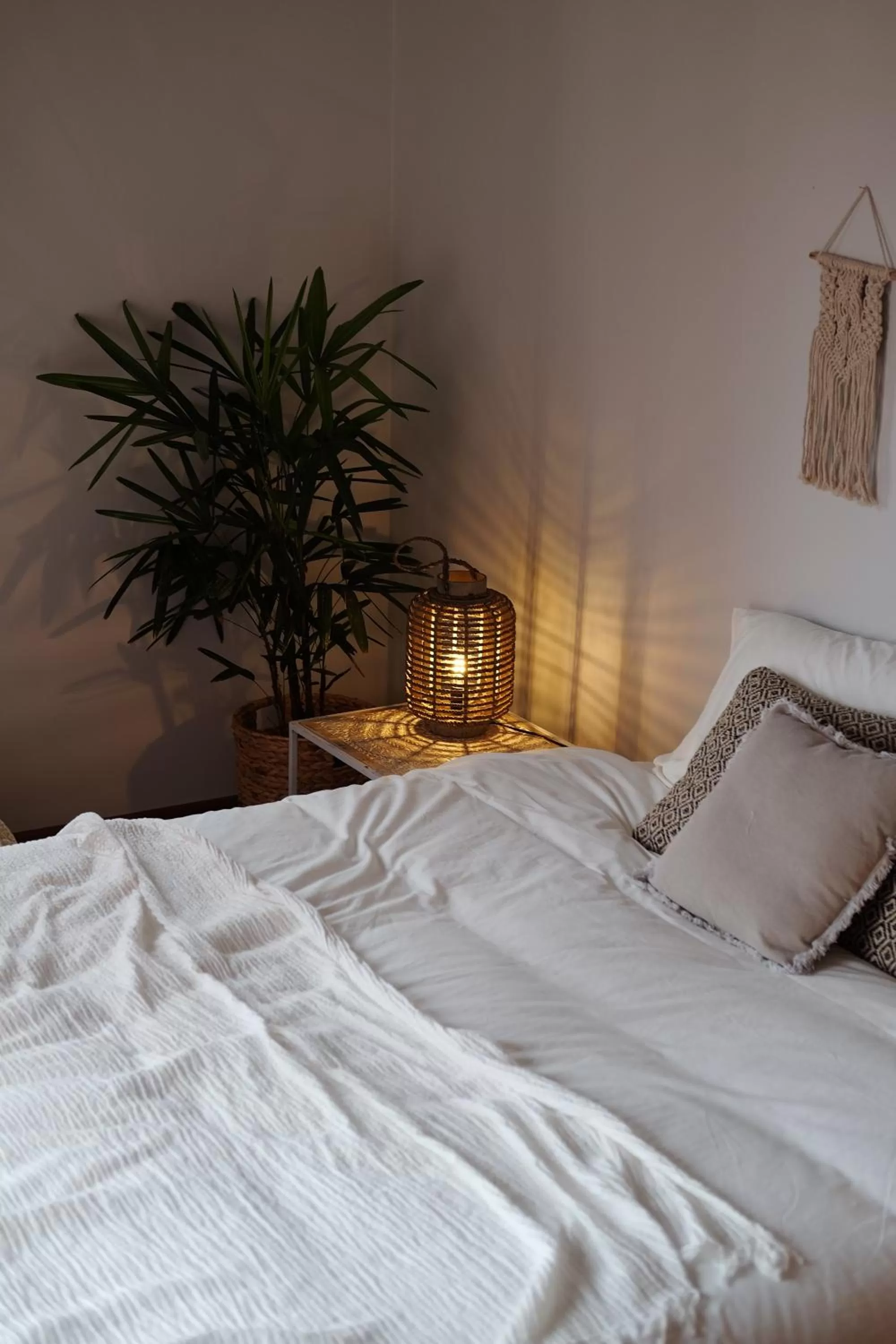 Dreamsea Surf Guest House