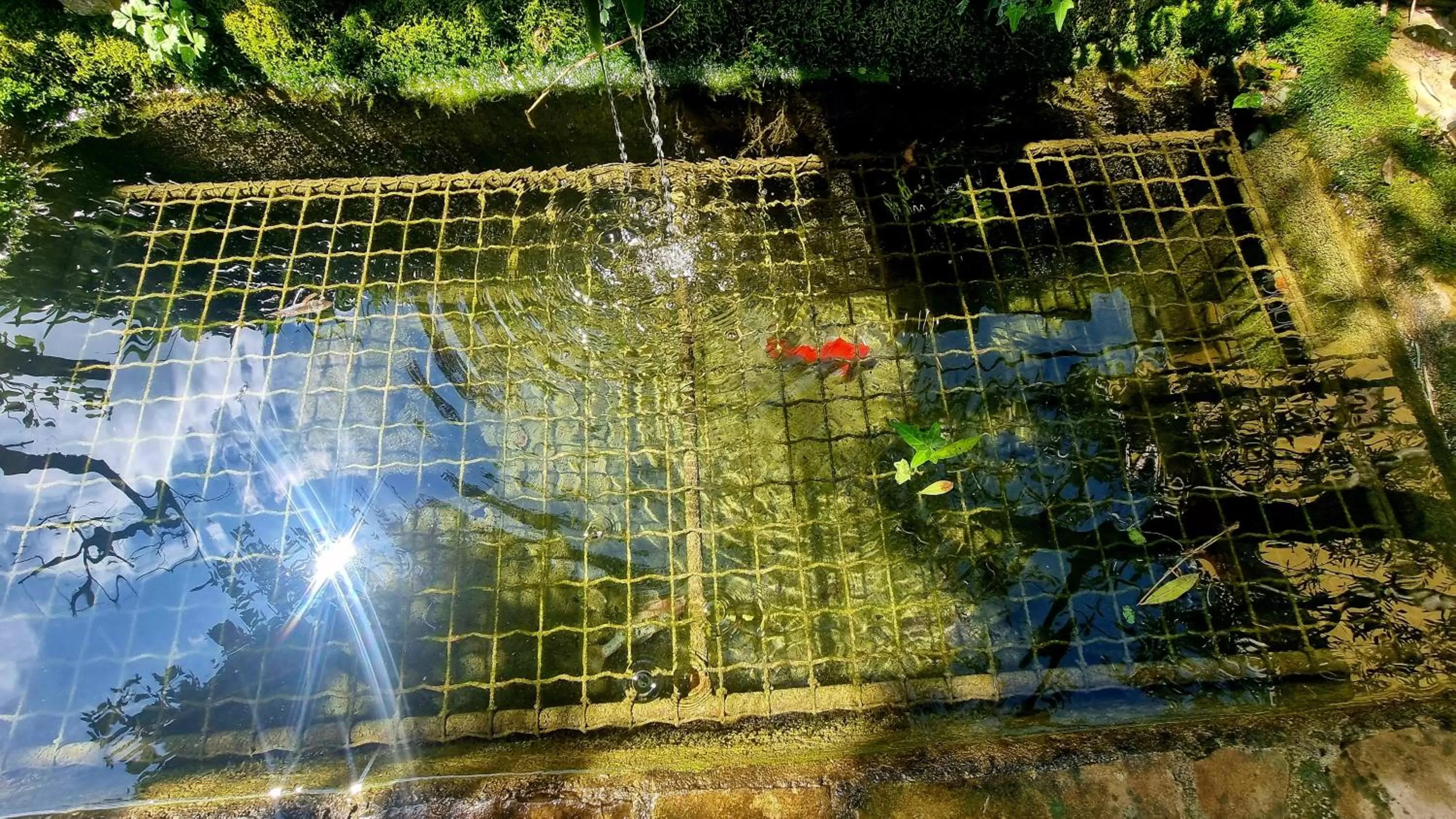 Garden in Fontecorona Bed and Breakfast