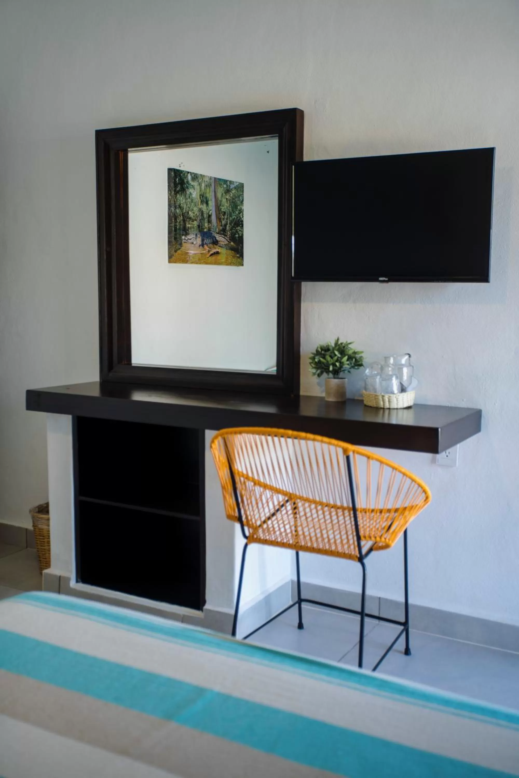 TV and multimedia in Hotel Camino Del Sol