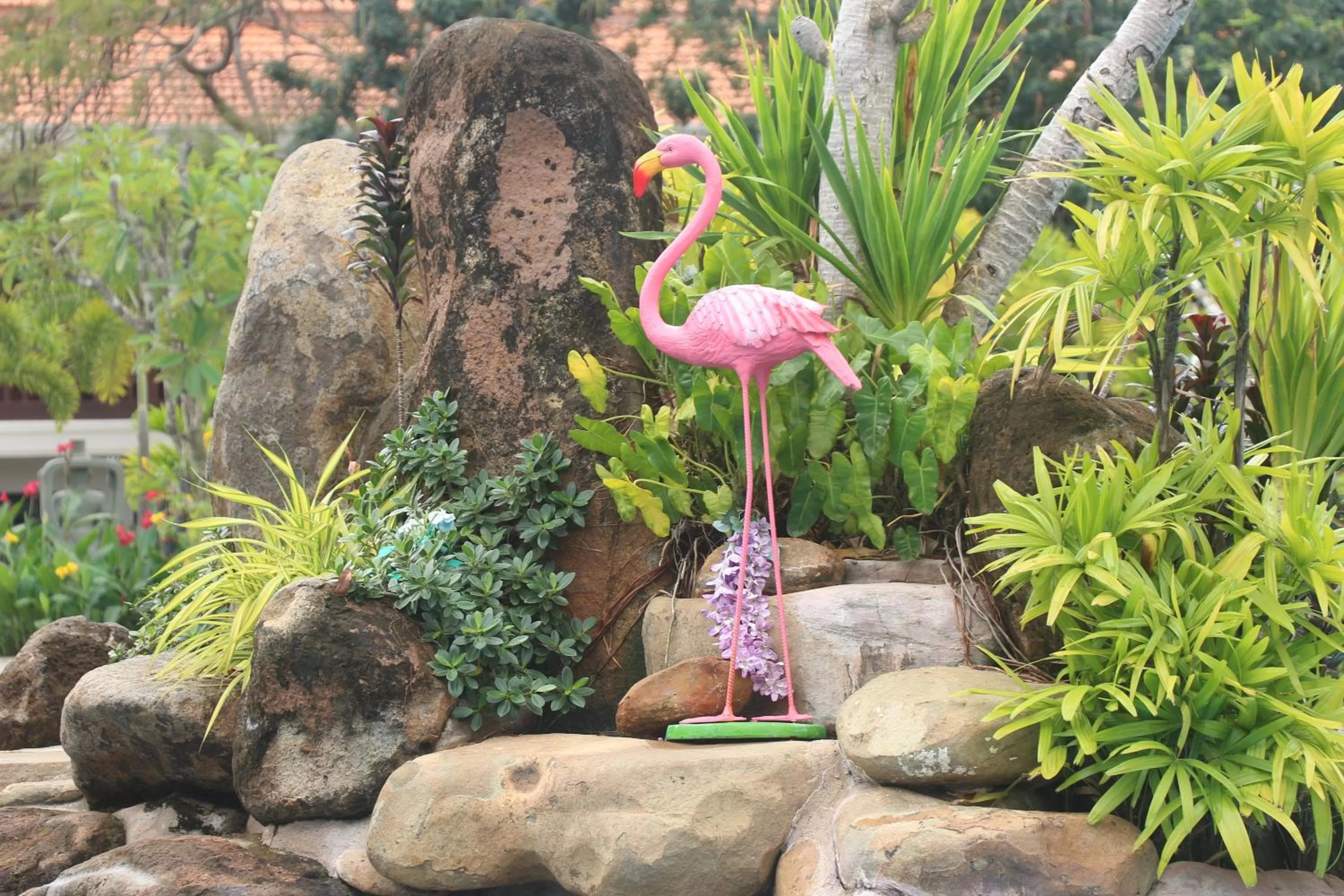 Pool view, Other Animals in Try Palace Resort-Kep