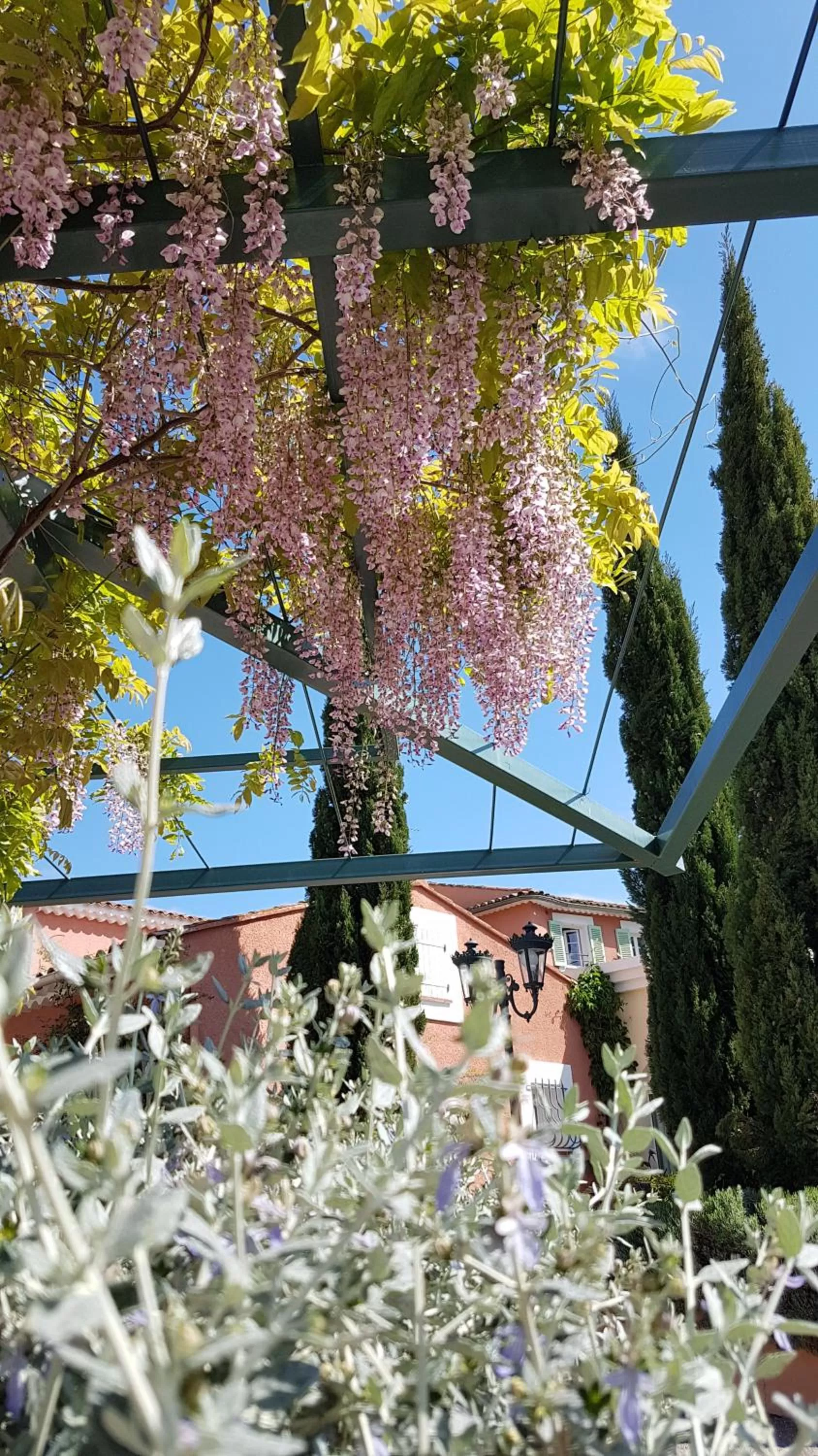 Garden in Le Mas du Lingousto