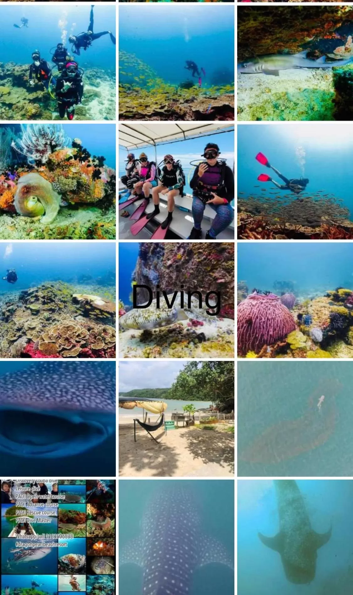 Dragon Pearl Beach Resort