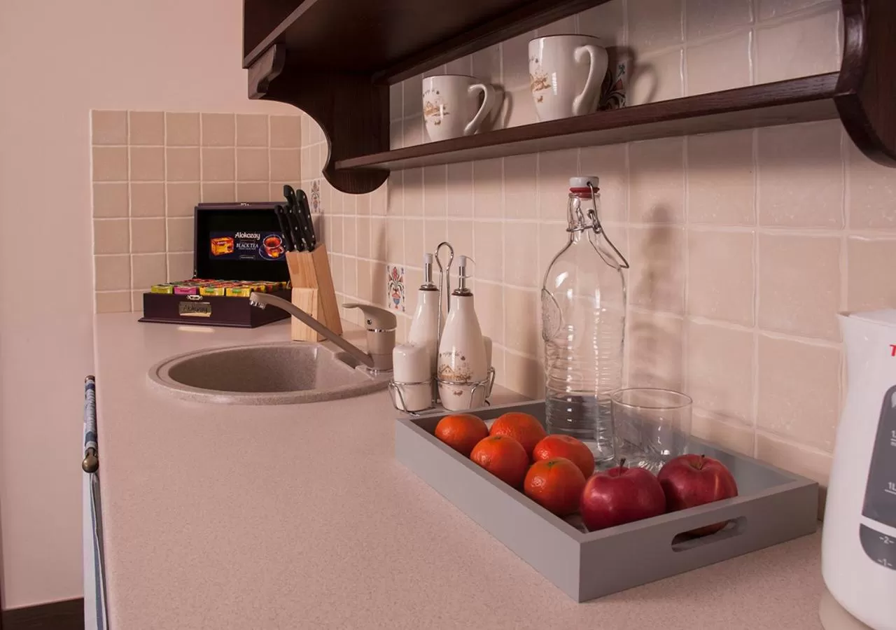 Kitchen or kitchenette, Kitchen/Kitchenette in Ekaterinoslav