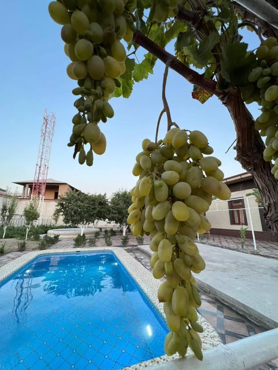 Garden, Swimming Pool in Samarabonu Hotel