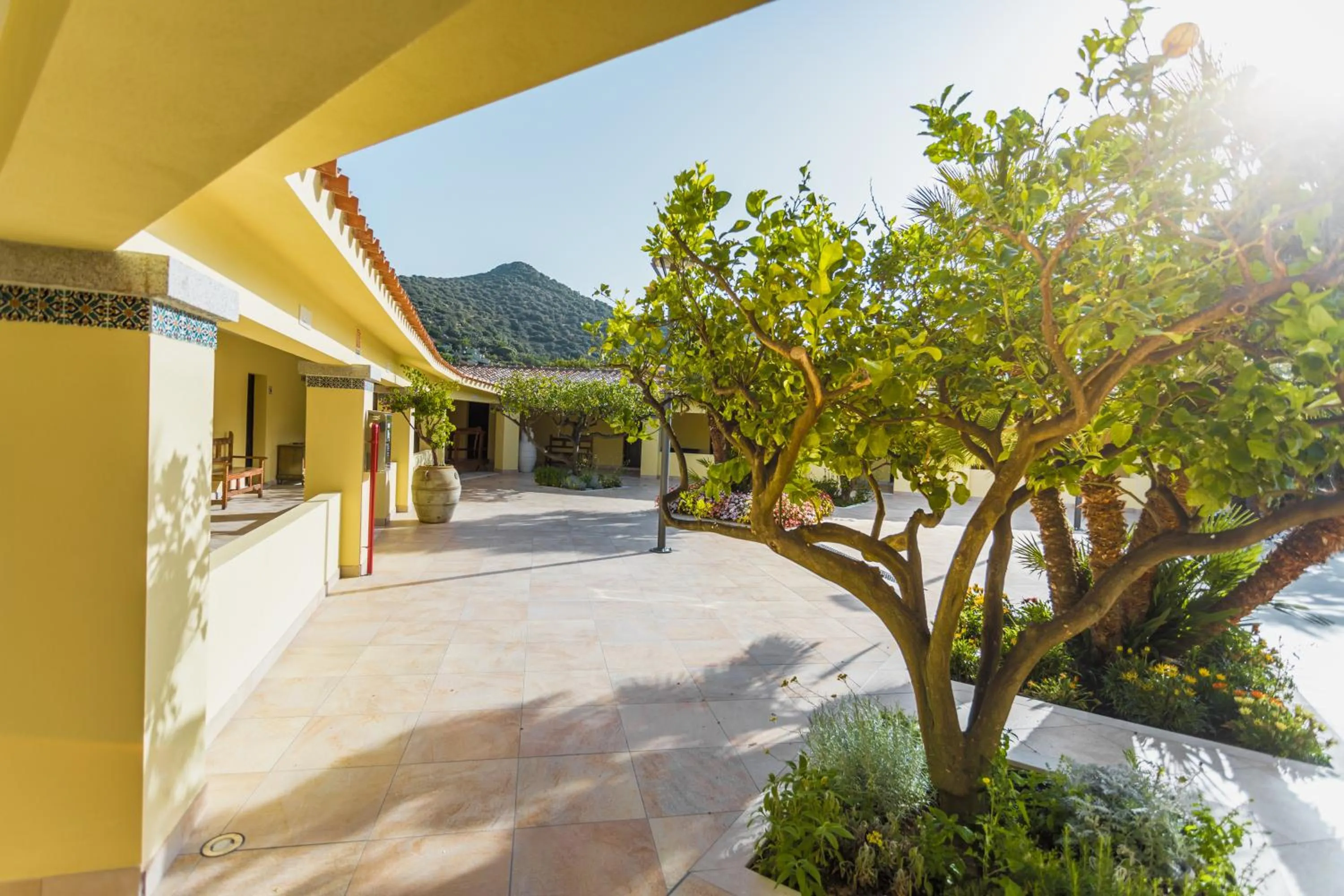 Garden in Hotel Fiore Di Maggio