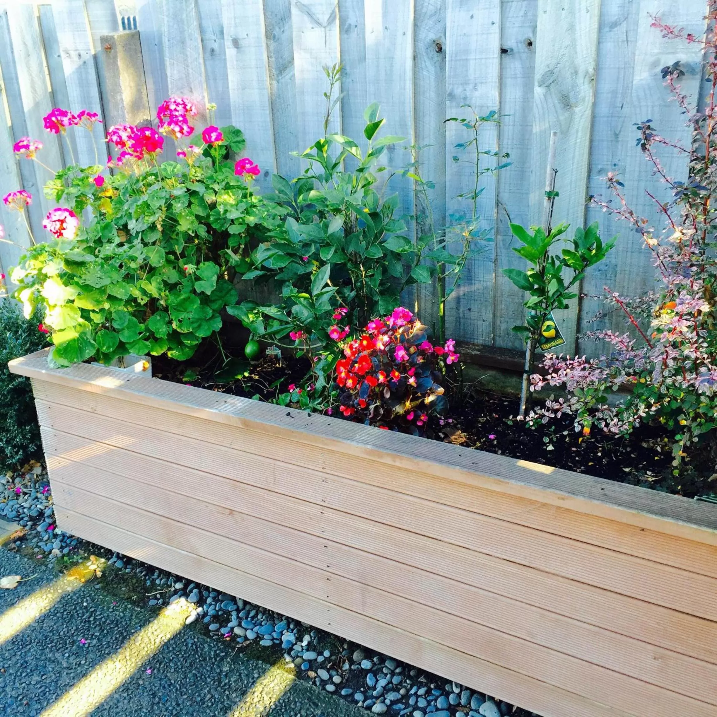 Garden in Alpha Motel with Spa-Bath