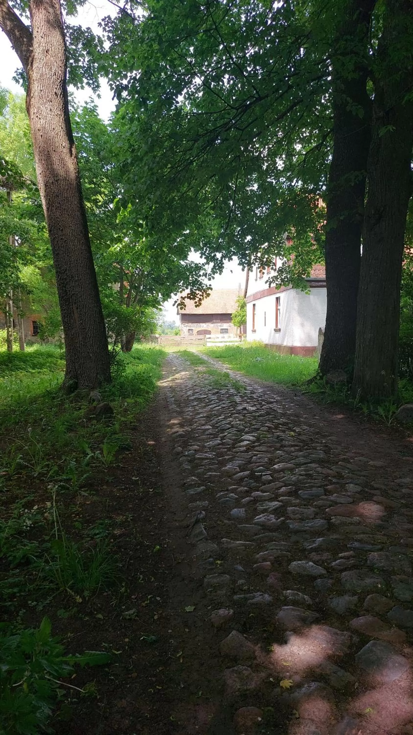 Spring in Dom na Mazurach Pilec