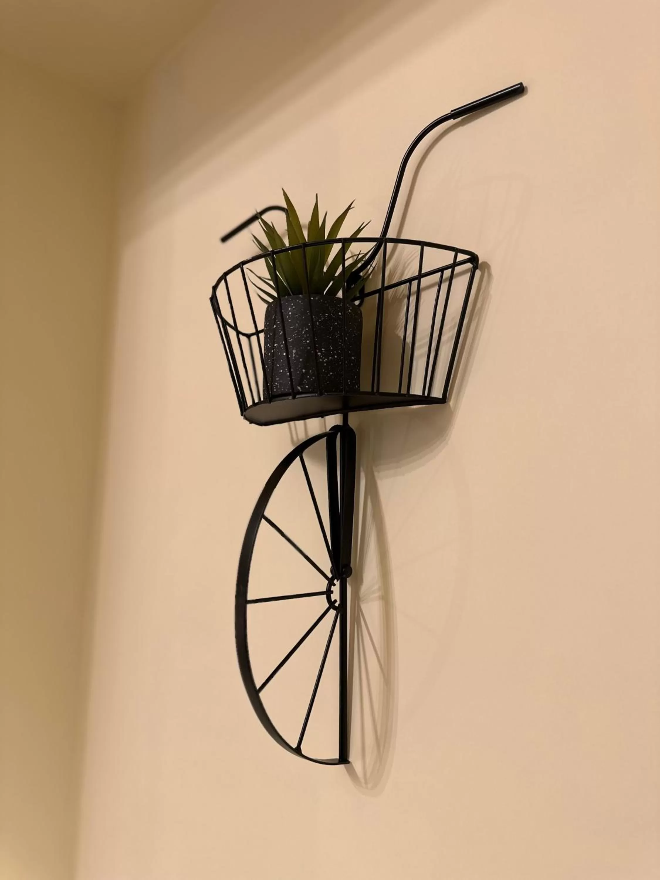 Decorative detail in B&B Scarlatti 60