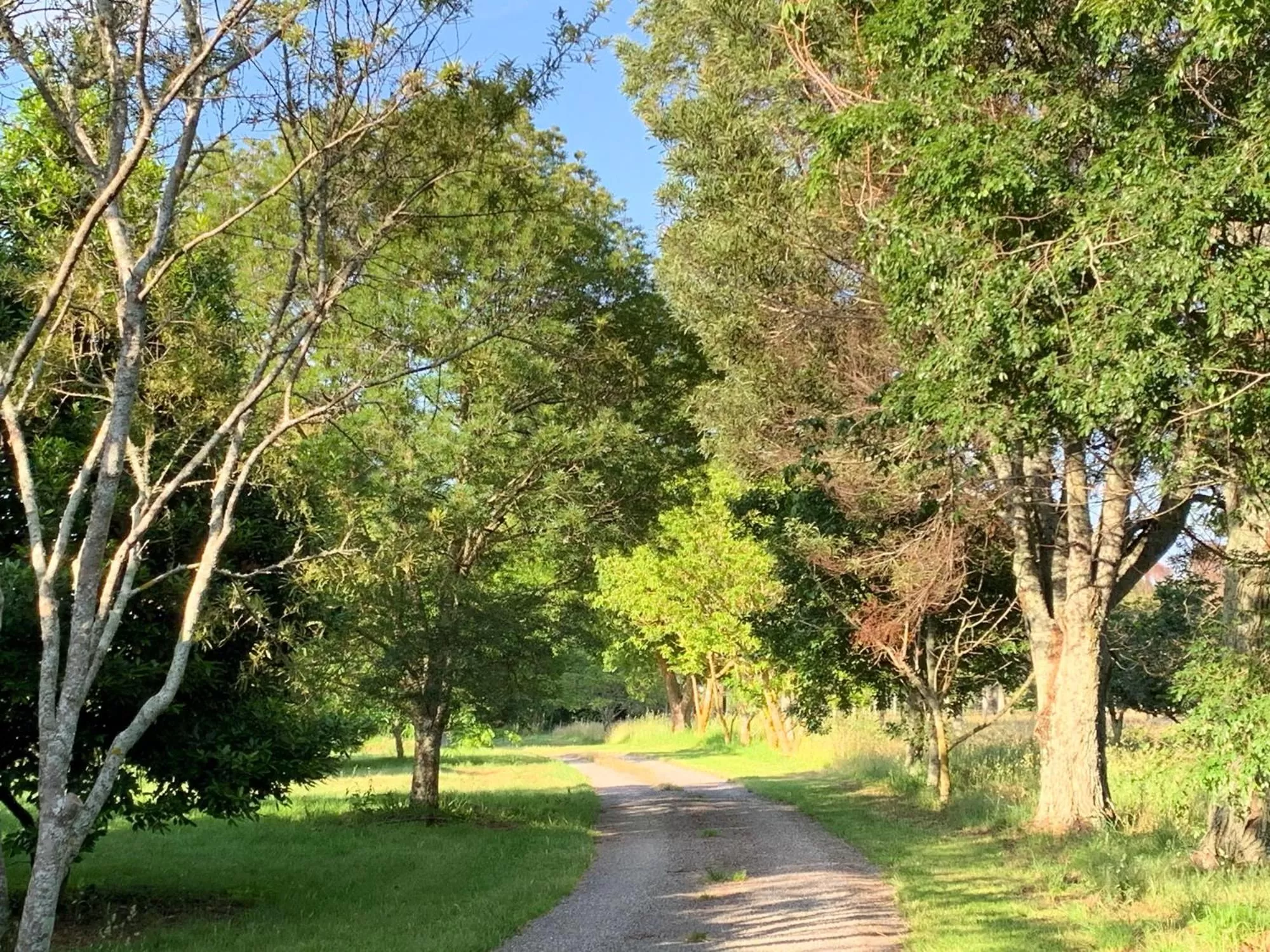 Facade/entrance, Garden in Quail Farm, Colonial charm