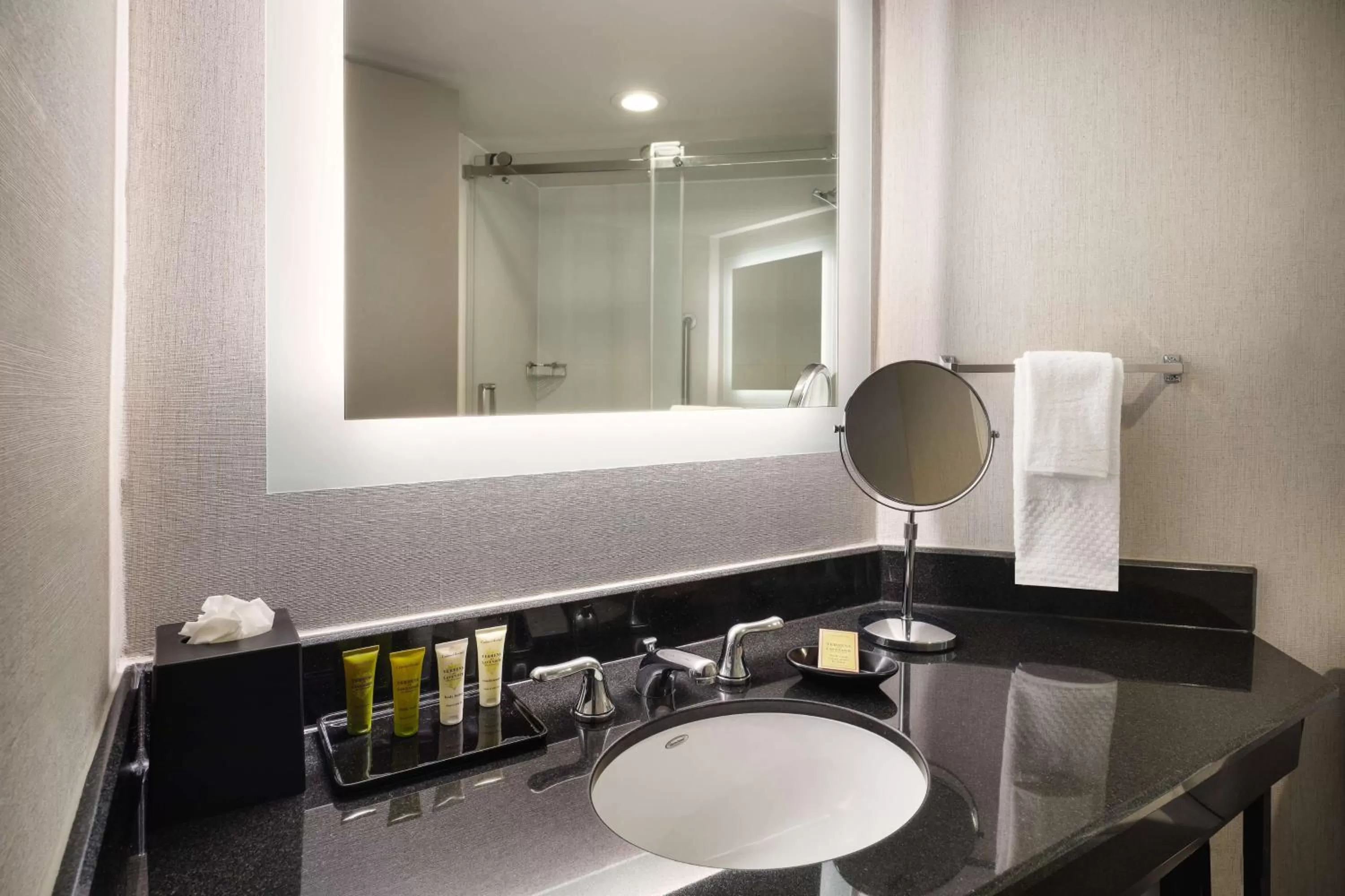 Bathroom in Hilton Richardson Dallas, TX