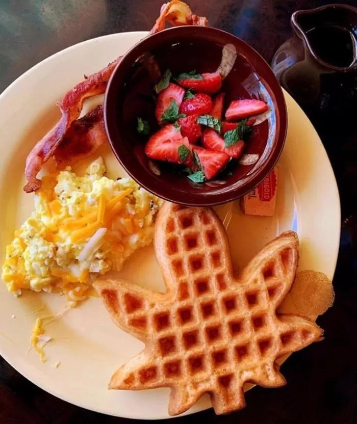 Breakfast in Hicksville Pines Chalets & Motel