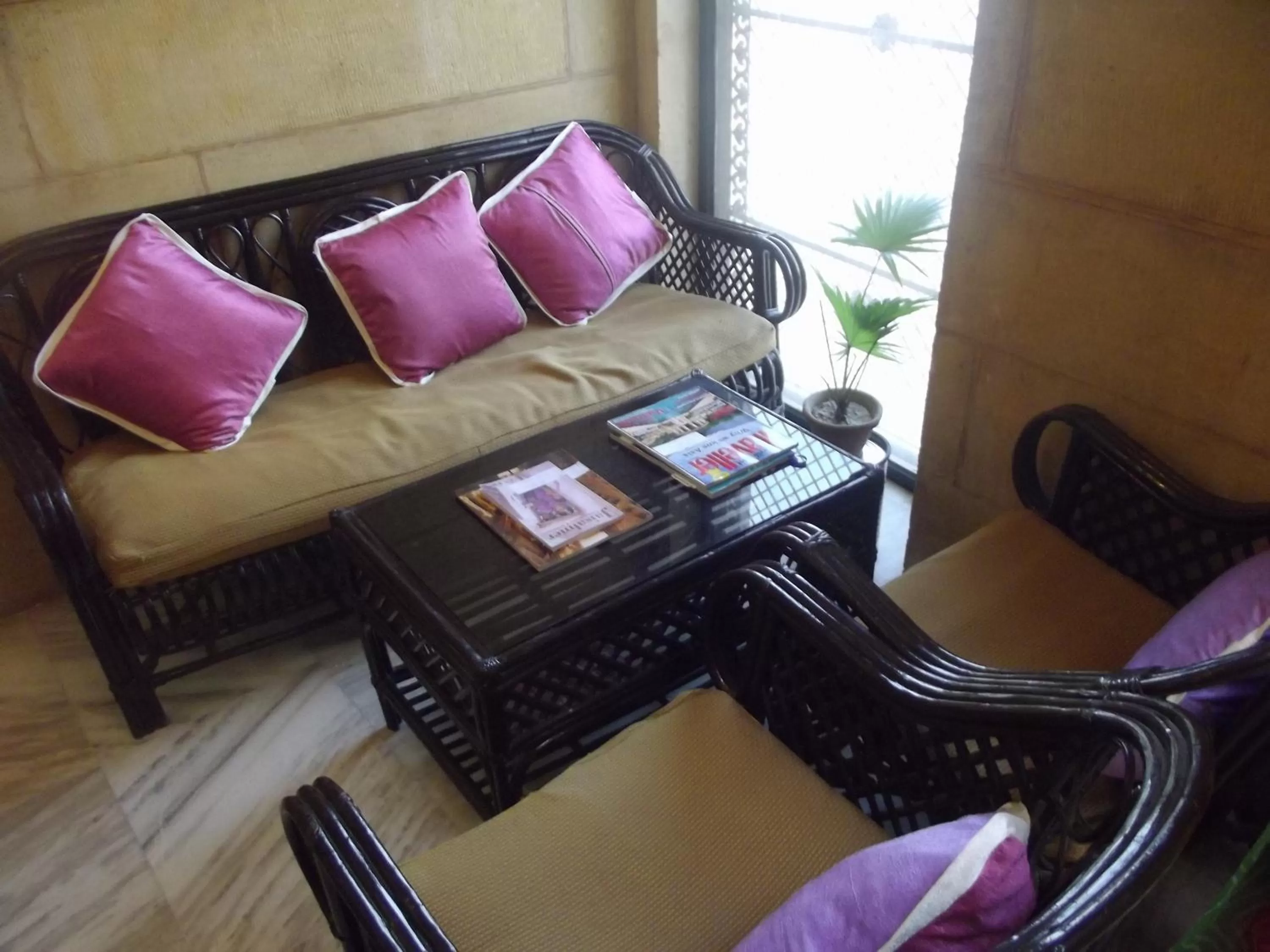 Living room in Hotel Shahi Garh