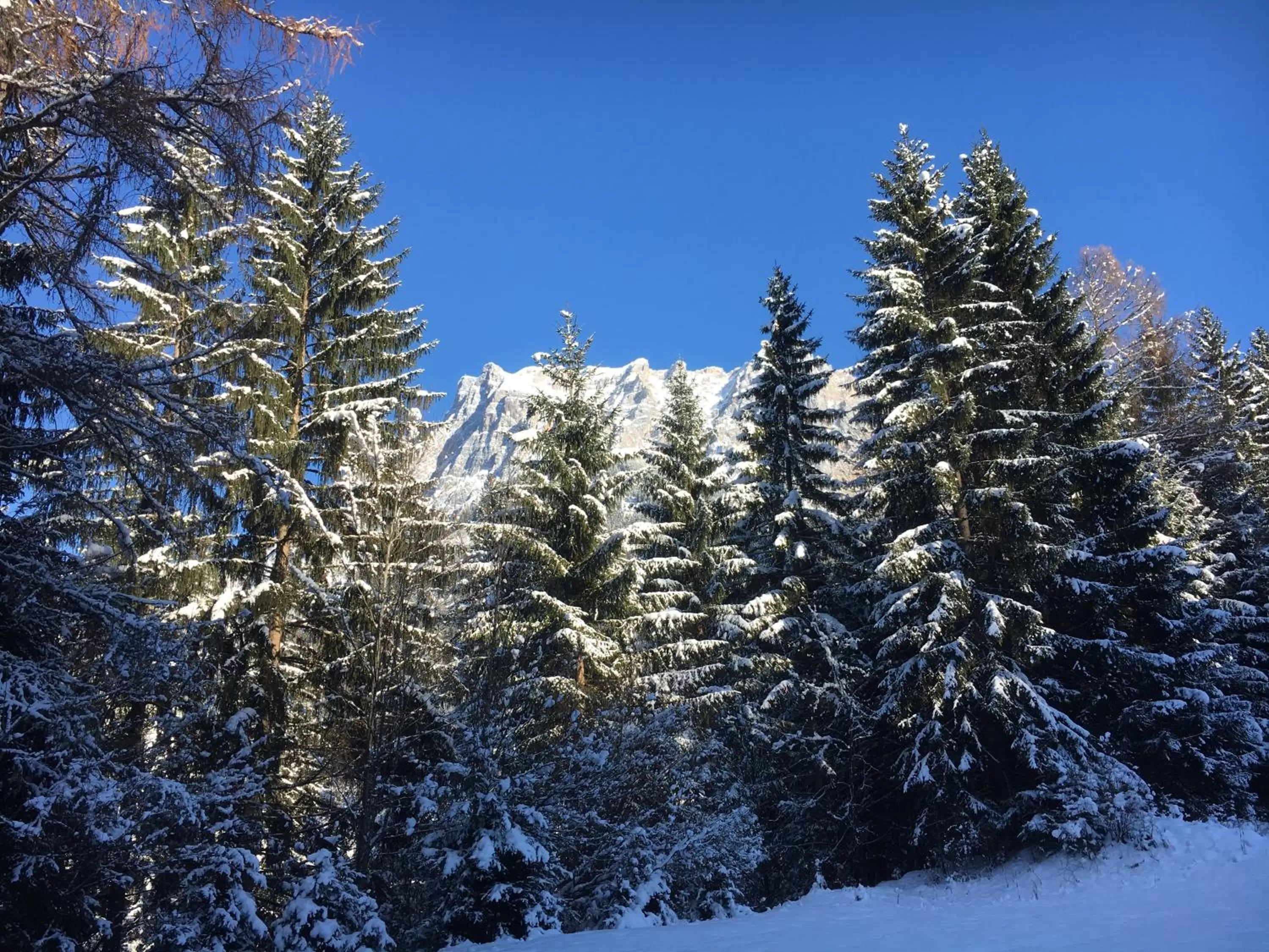 Natural landscape, Winter in Hotel zum Urviech -Erwachsenenhotel-