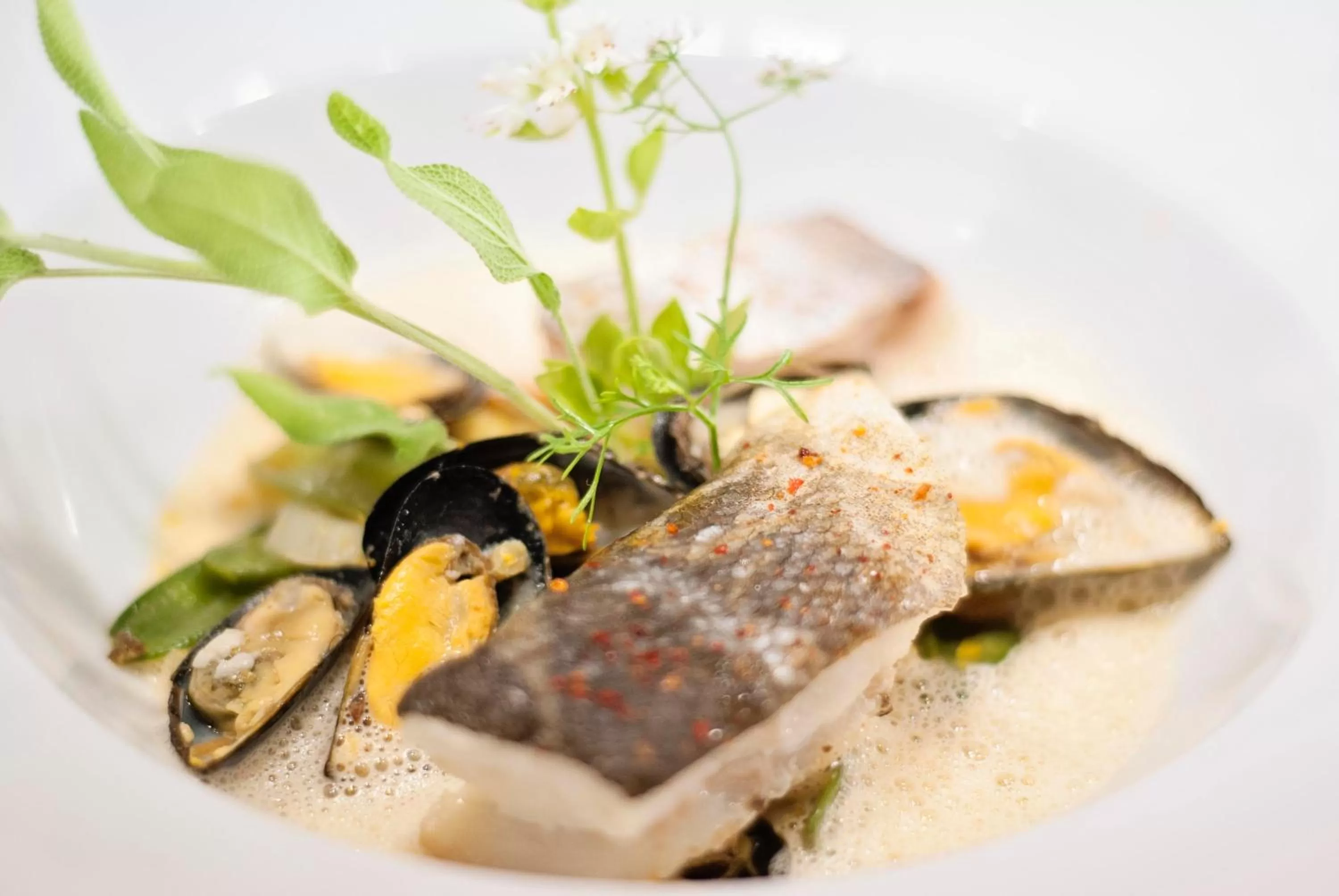 Food close-up in Elégance Suites Hôtel