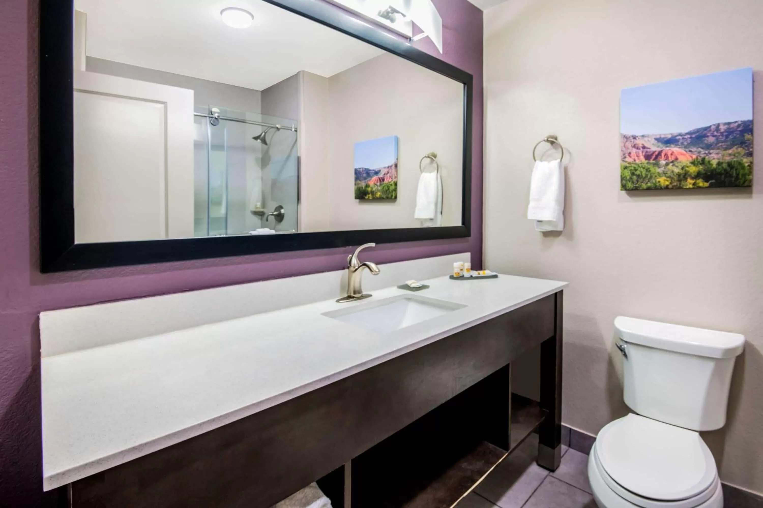 Bathroom in La Quinta by Wyndham Pampa