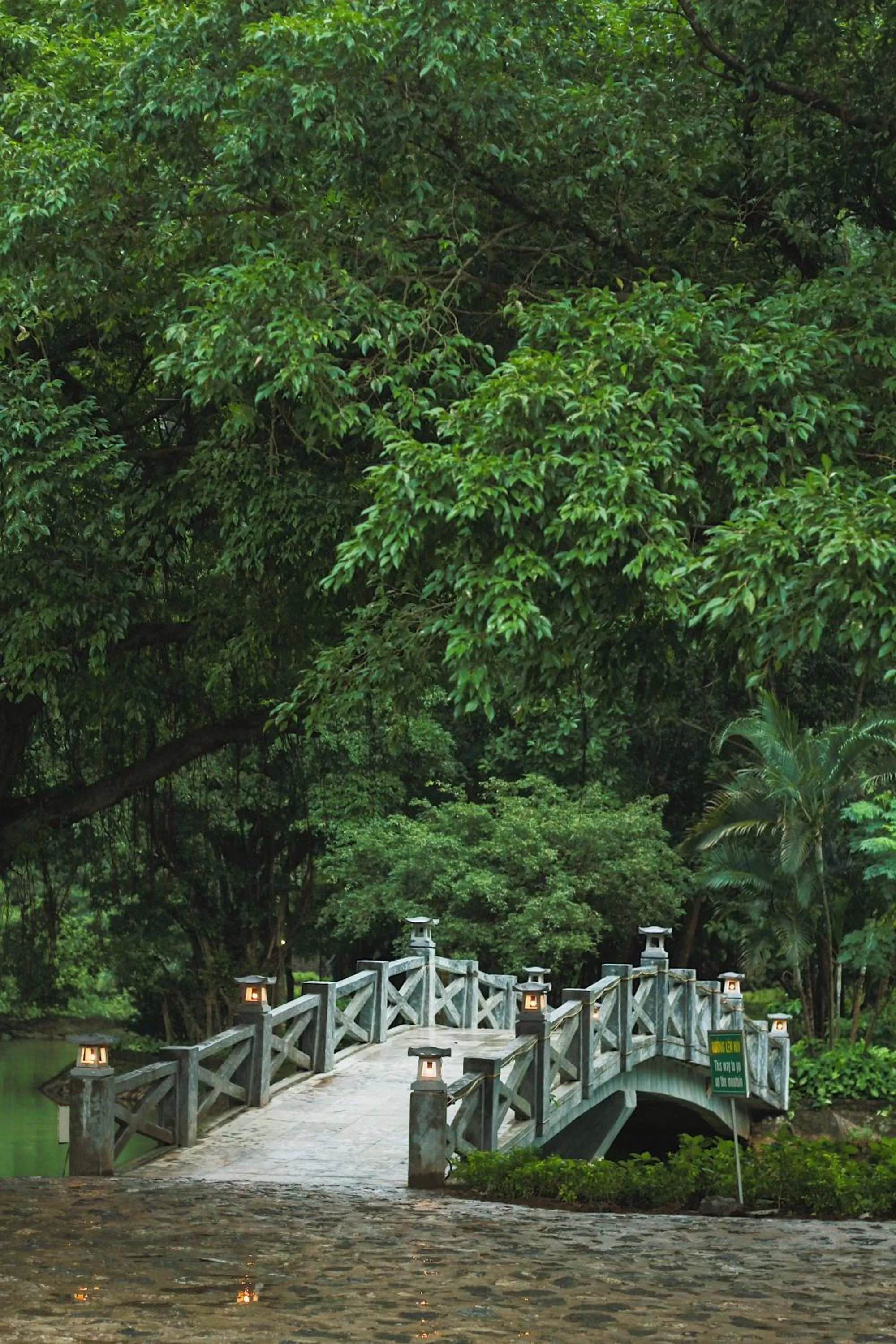 Natural landscape, Property Building in Mua Caves Ecolodge (Hang Mua)