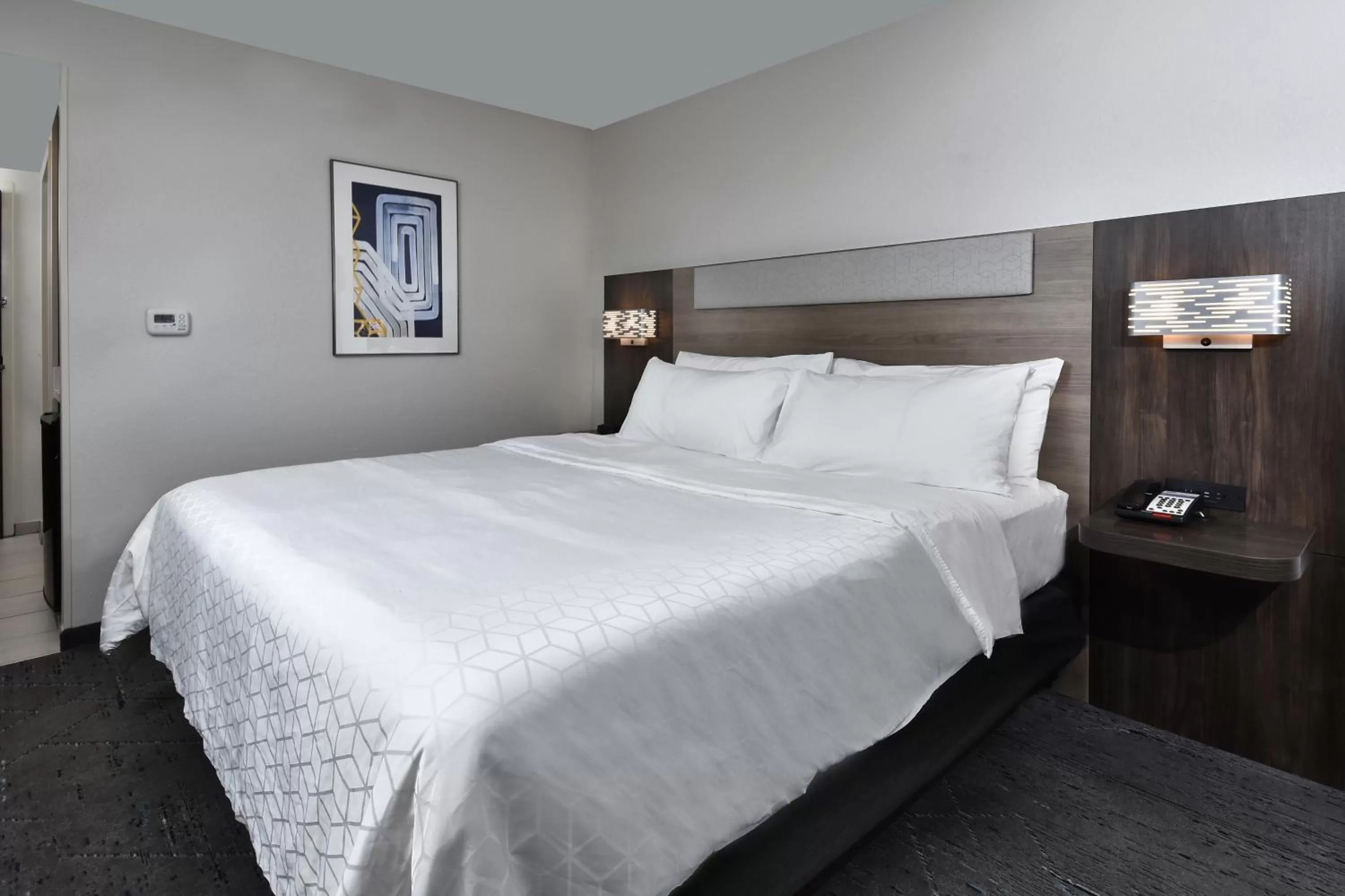 Photo of the whole room, Bed in Holiday Inn Express Richmond I-64 Short Pump Area by IHG