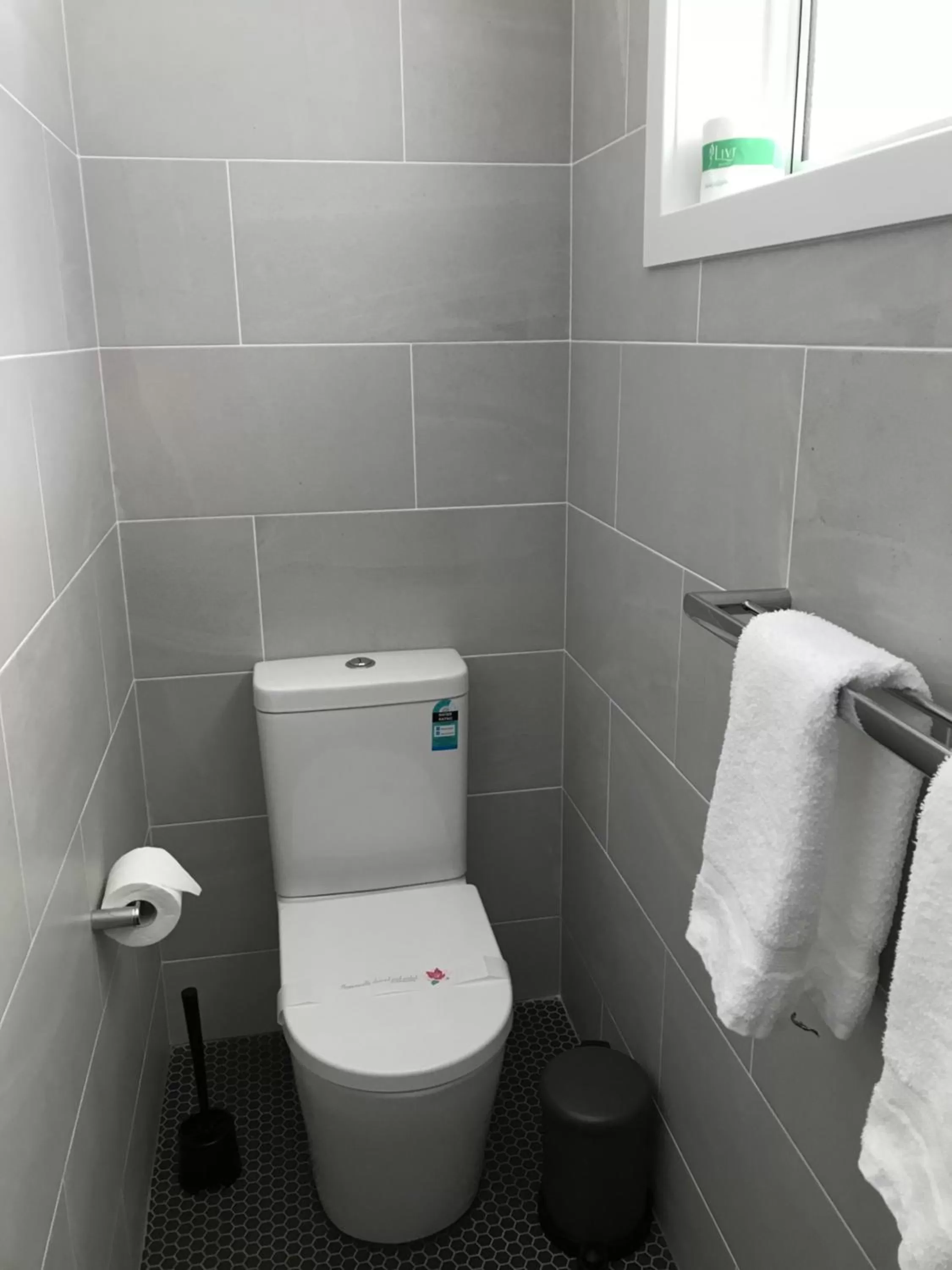 Toilet in Ulladulla Motel