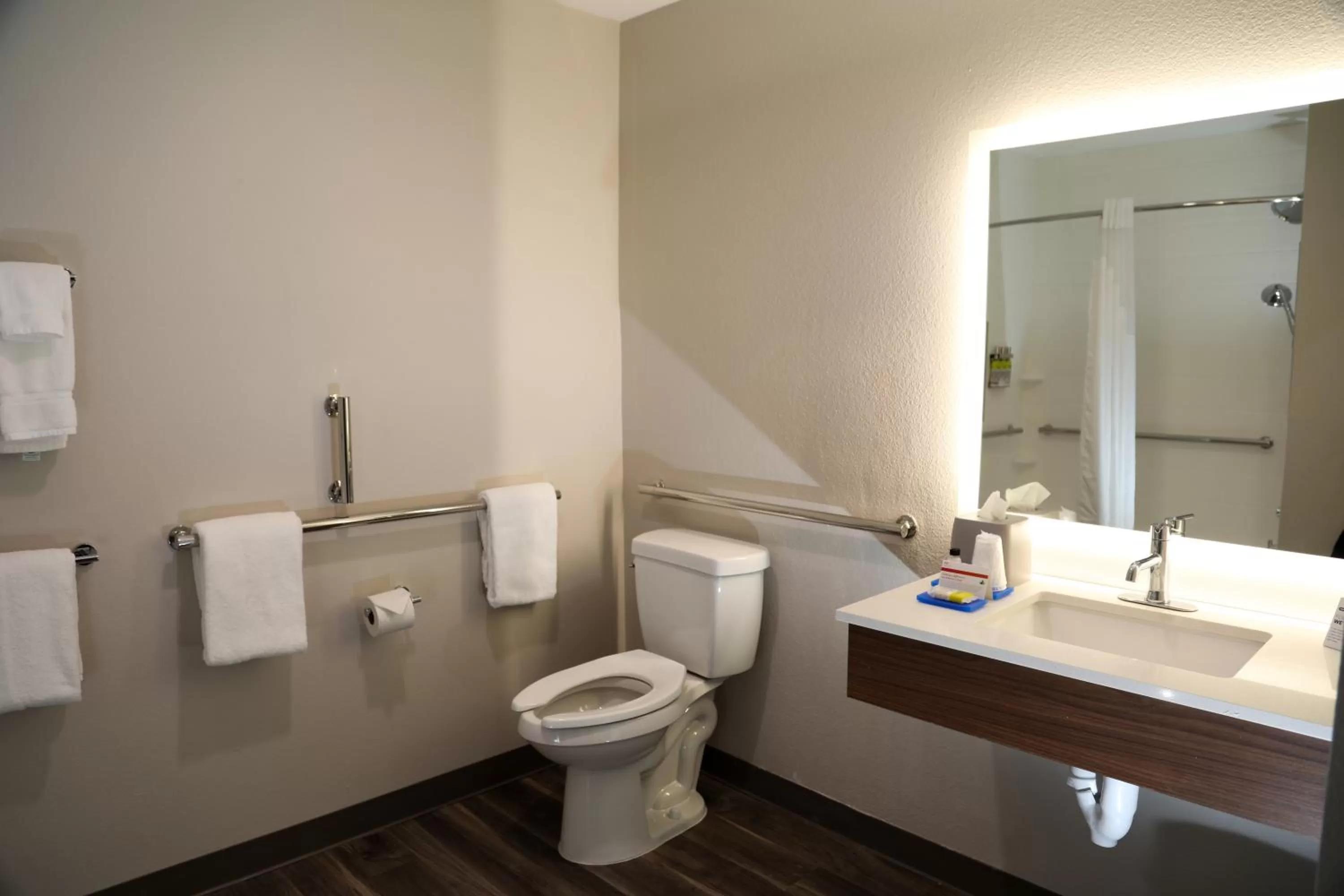 Bathroom in Holiday Inn Express & Suites - Wylie West by IHG