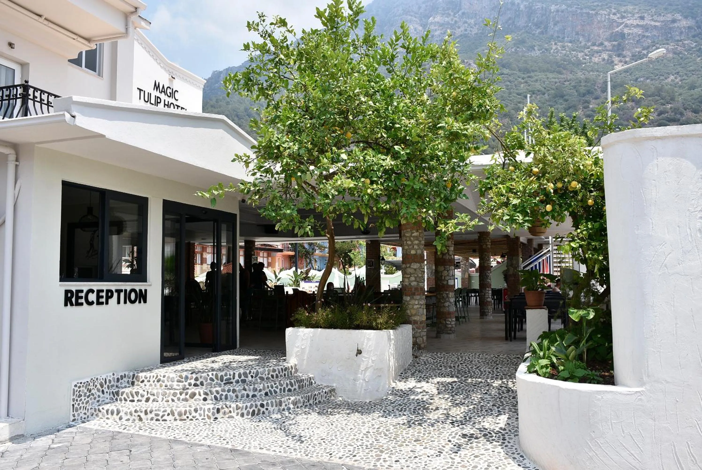 Facade/entrance in Magic Tulip Hotel