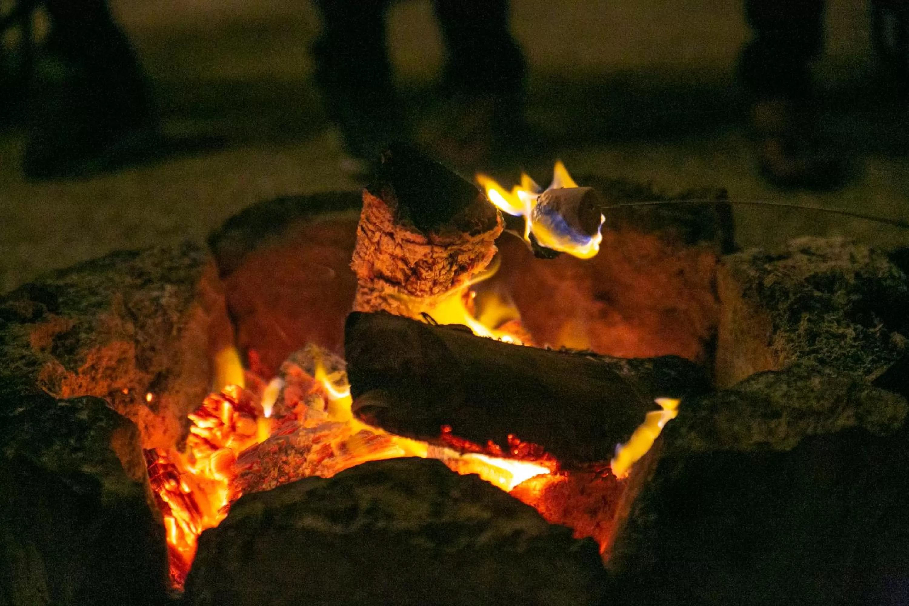 Natural landscape in Hotel Buenavista Bacalar Jungle Experience