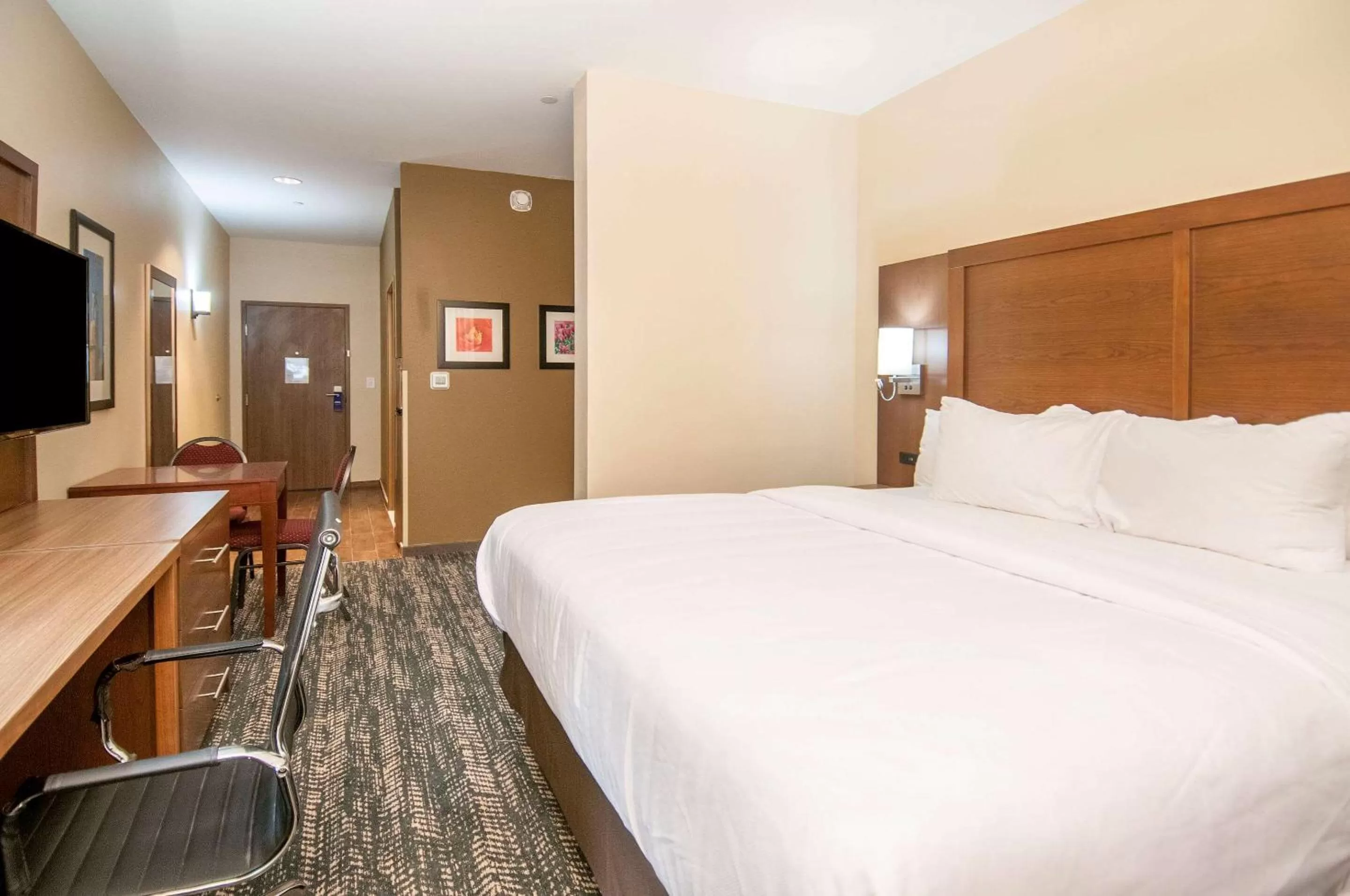 King Room - Non-Smoking in Comfort Inn & Suites Downtown near University