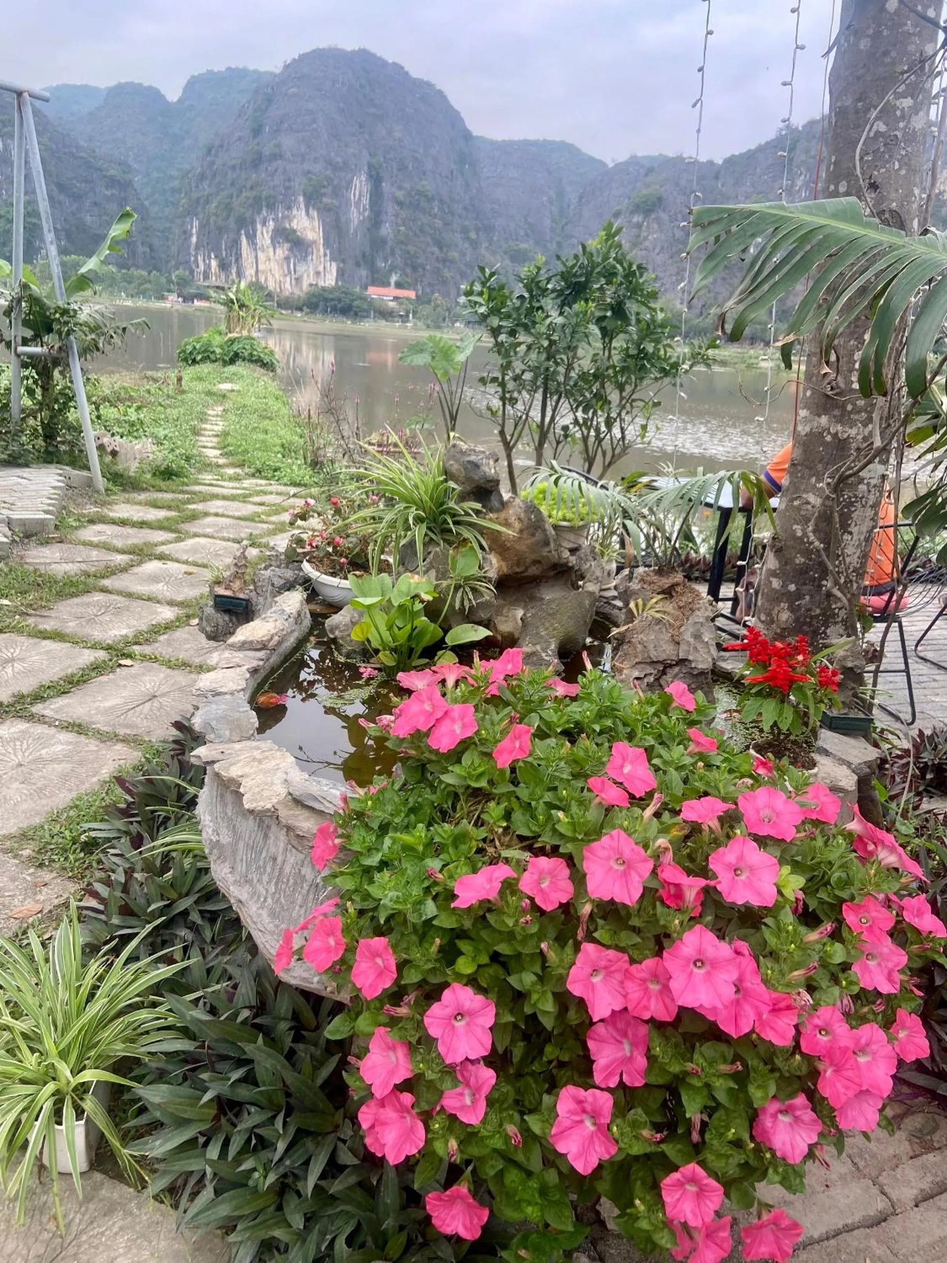 Tam Coc Mountain View Homestay