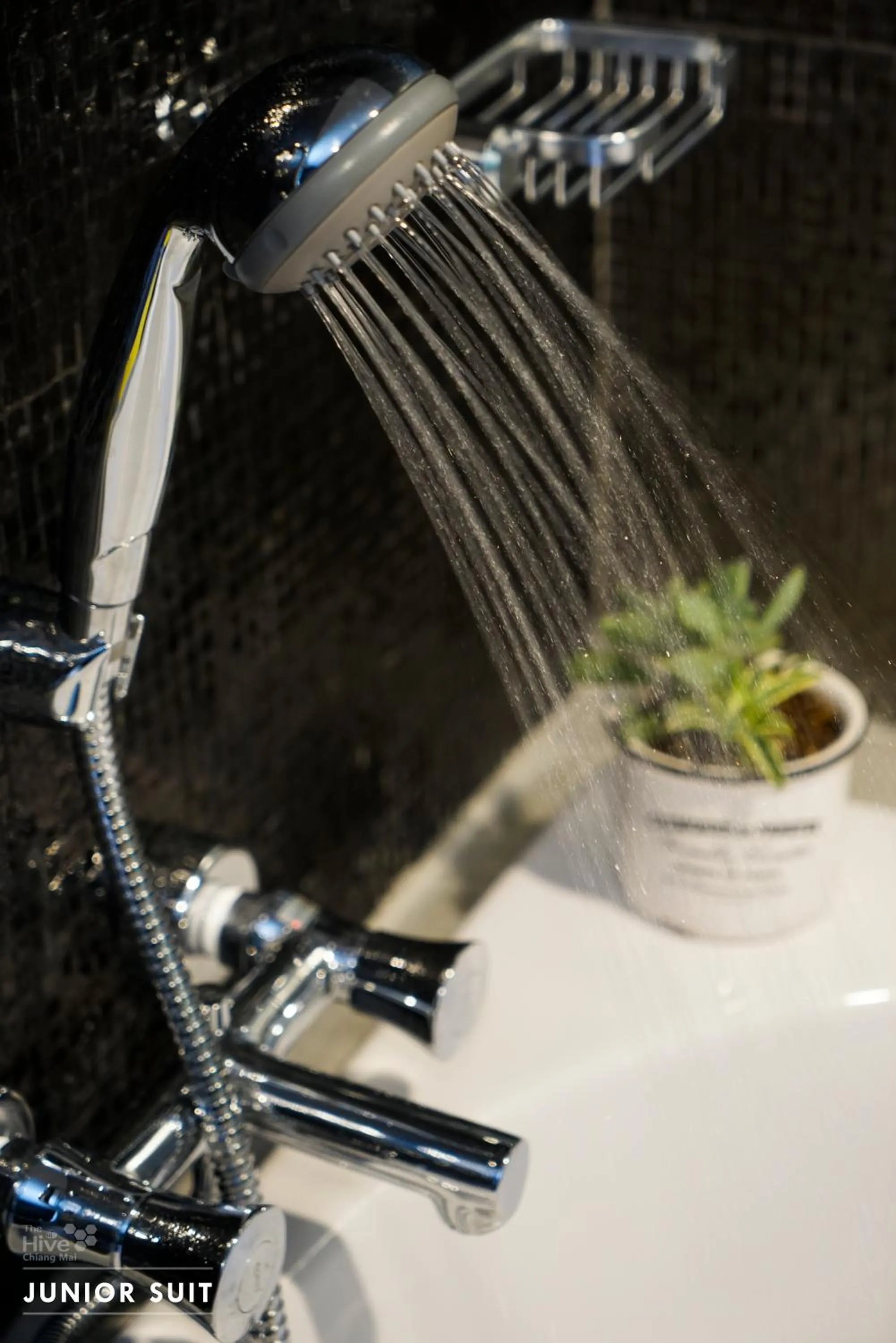 The Hive Chiang Mai Hotel