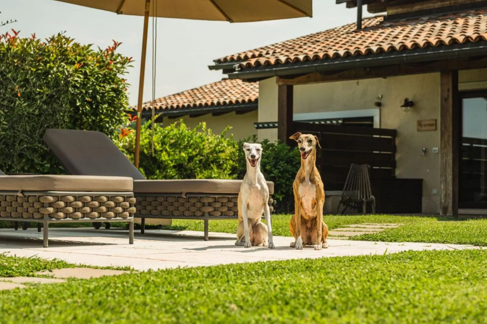 Pets in Privilegium Lazise