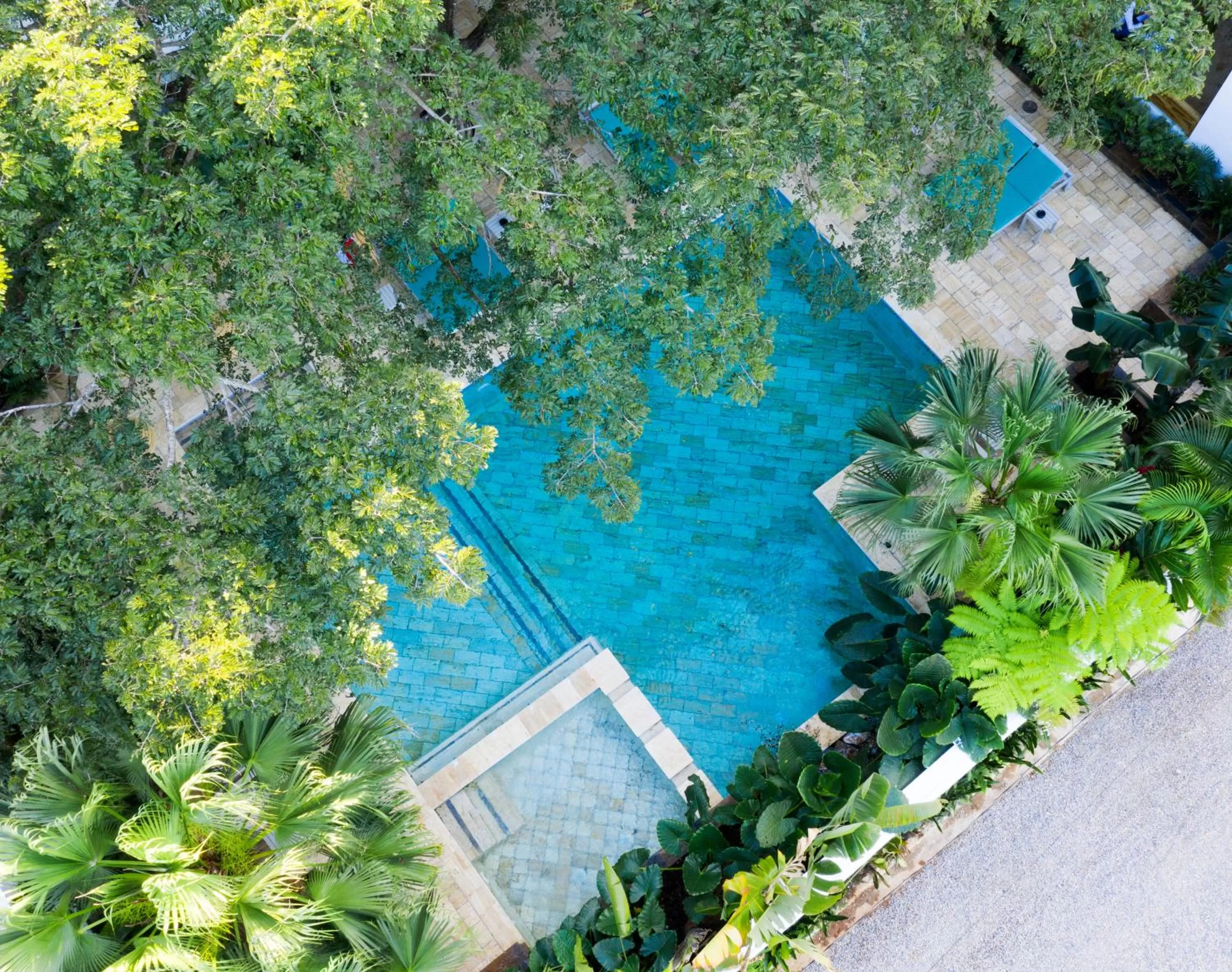 Bird's eye view in Saman Boutique Hotel By Mint