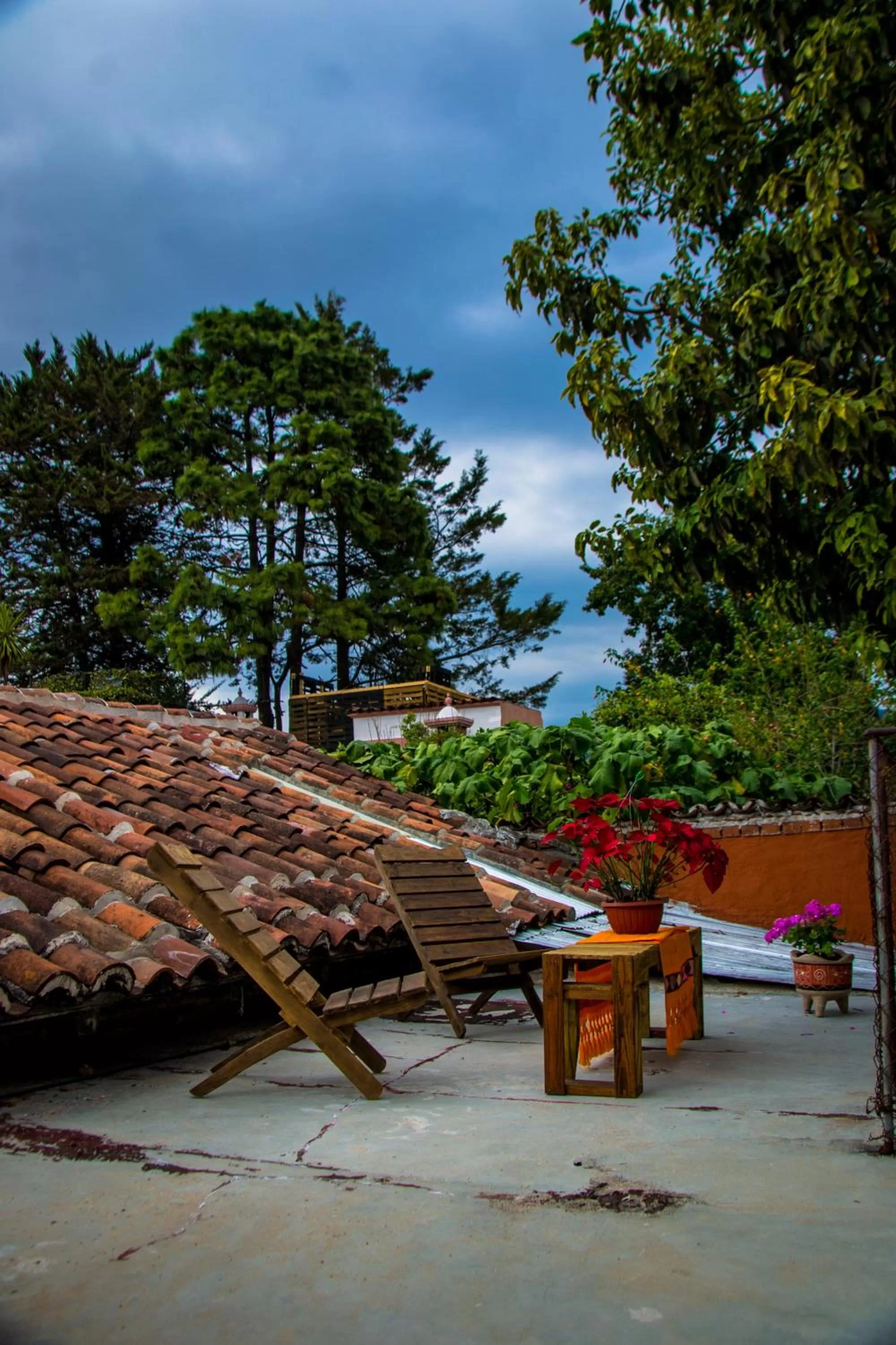 Balcony/Terrace in Villa Coleta