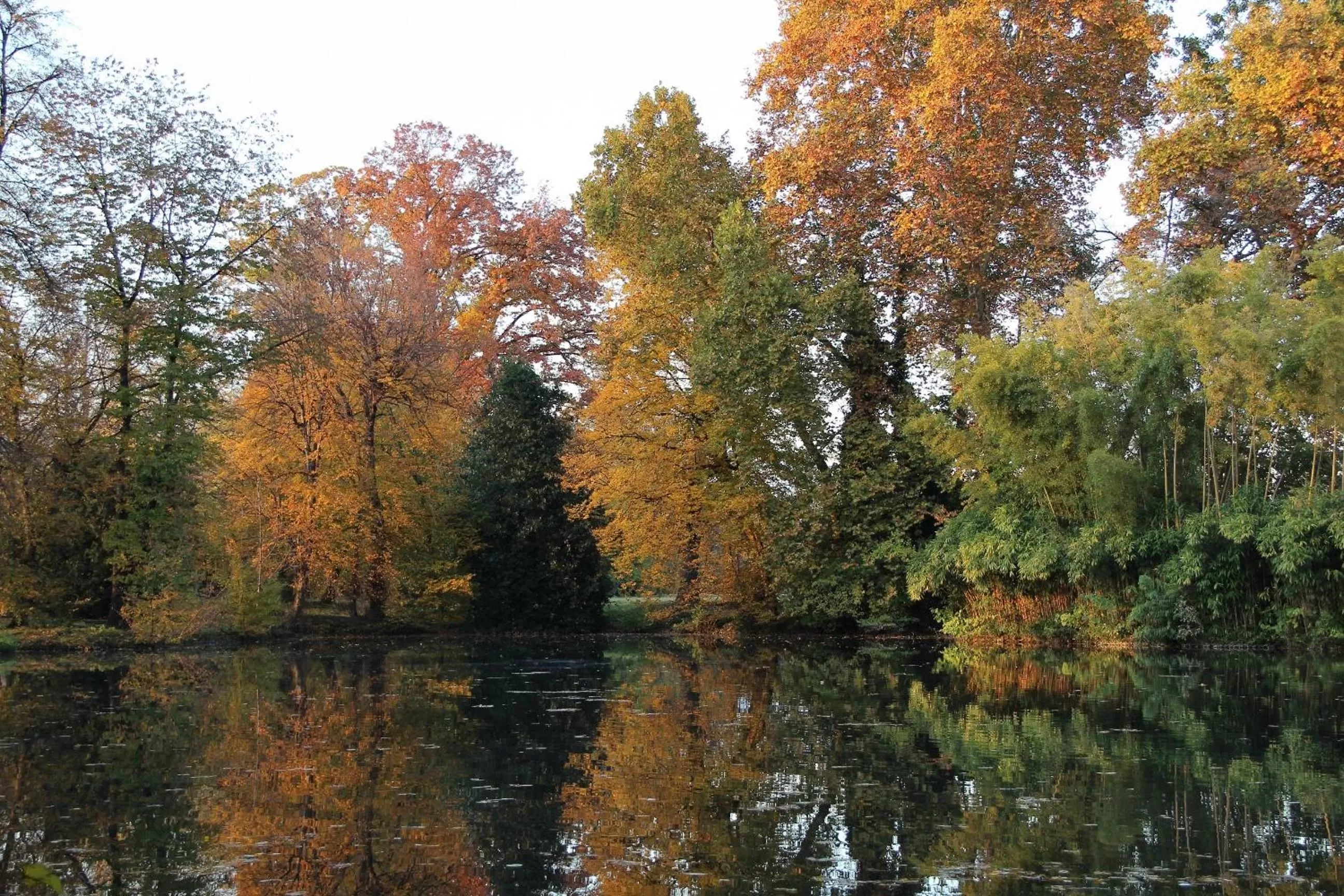 Day in Agriturismo Il Torrione