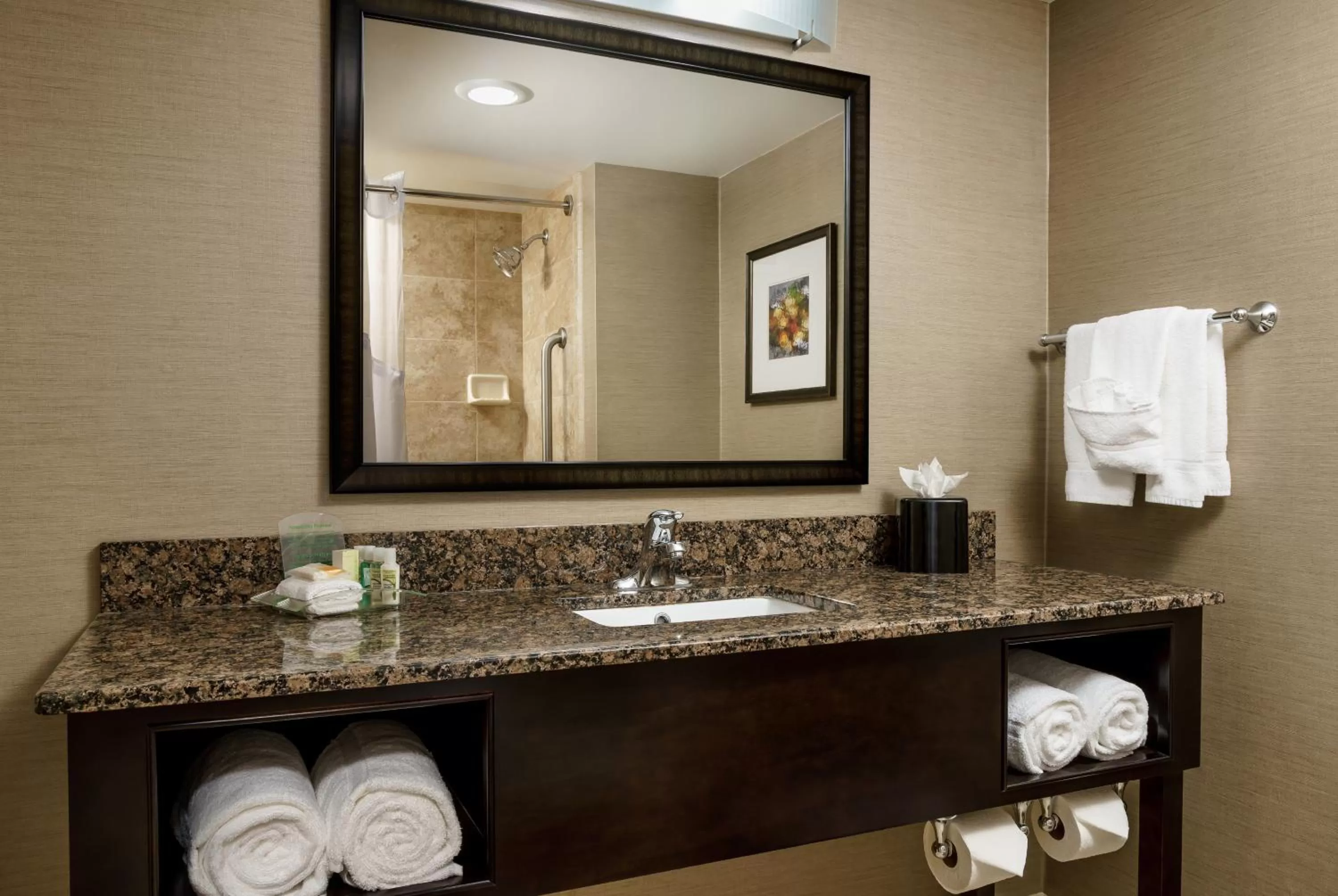 Bathroom in Holiday Inn Charlotte University by IHG