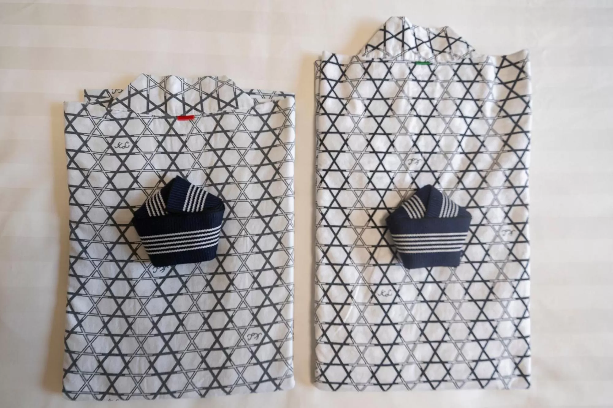 Photo of the whole room in Bself Fuji Onsen Villa