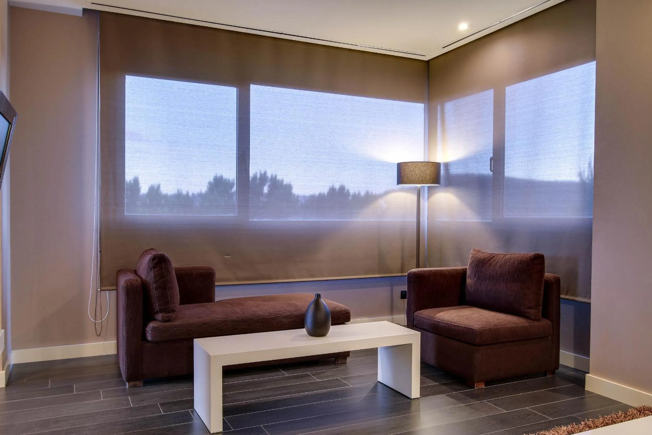 View (from property/room) in PCM Forum Alcalá