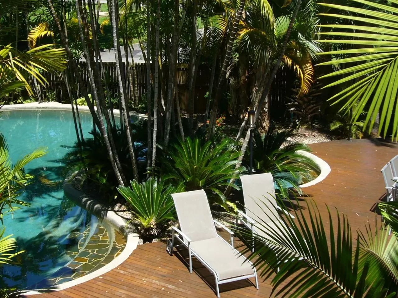 Swimming pool in Port Douglas Retreat